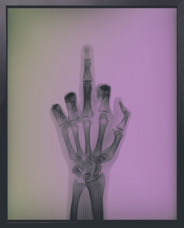 Nick Veasey, The Bird in Colour No 2 TM Nick Veasey, The Bird in Colour No 2 TM
