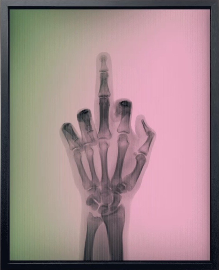 Nick Veasey, The Bird in Colour No 3 TR Nick Veasey, The Bird in Colour No 3 TR