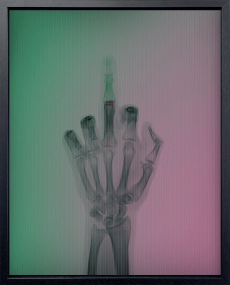 Nick Veasey, The Bird in Colour No 4 ML Nick Veasey, The Bird in Colour No 4 ML