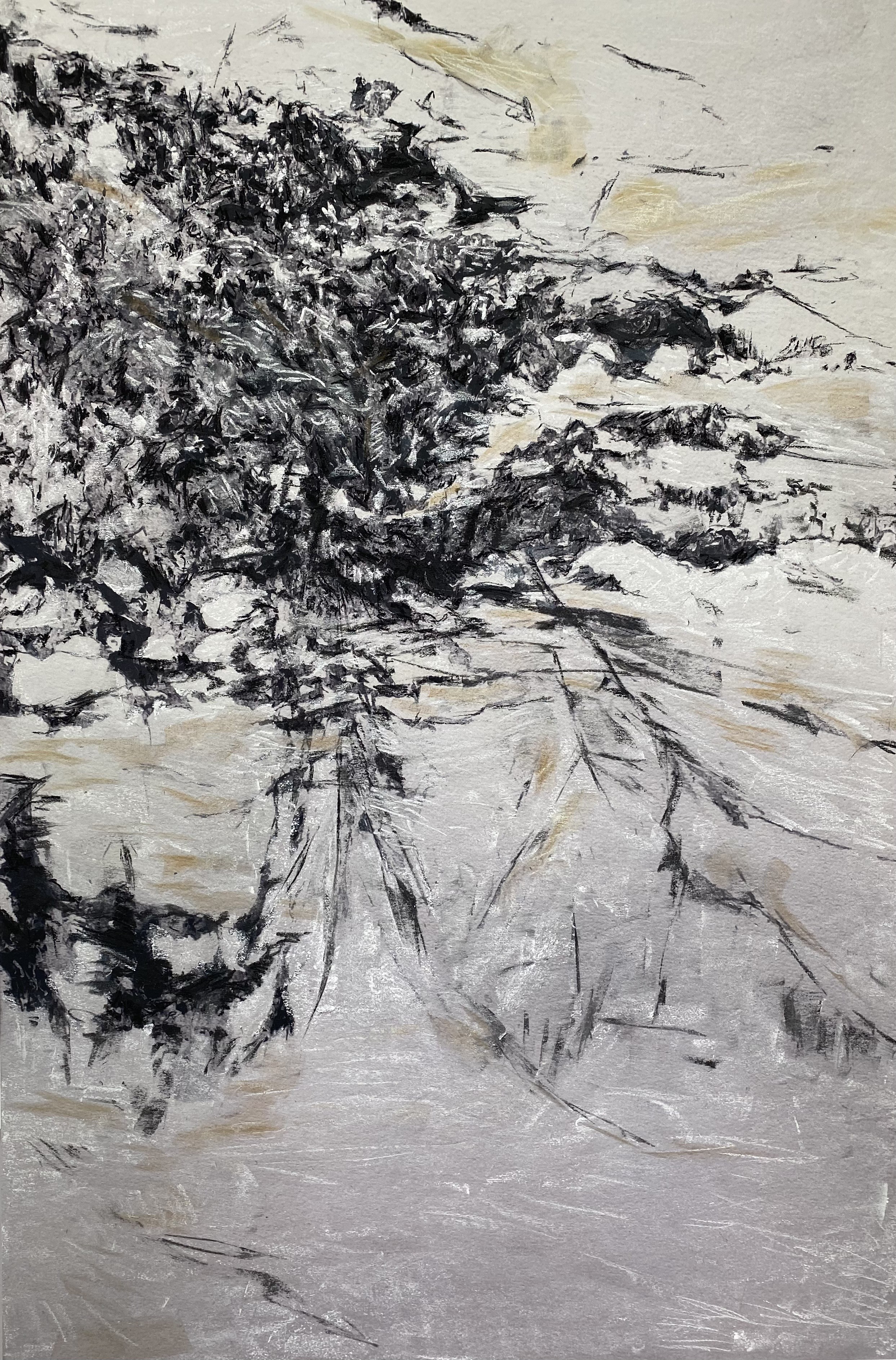 Ann Hoedt, Residual landscape 1 Ann Hoedt, Residual landscape 1