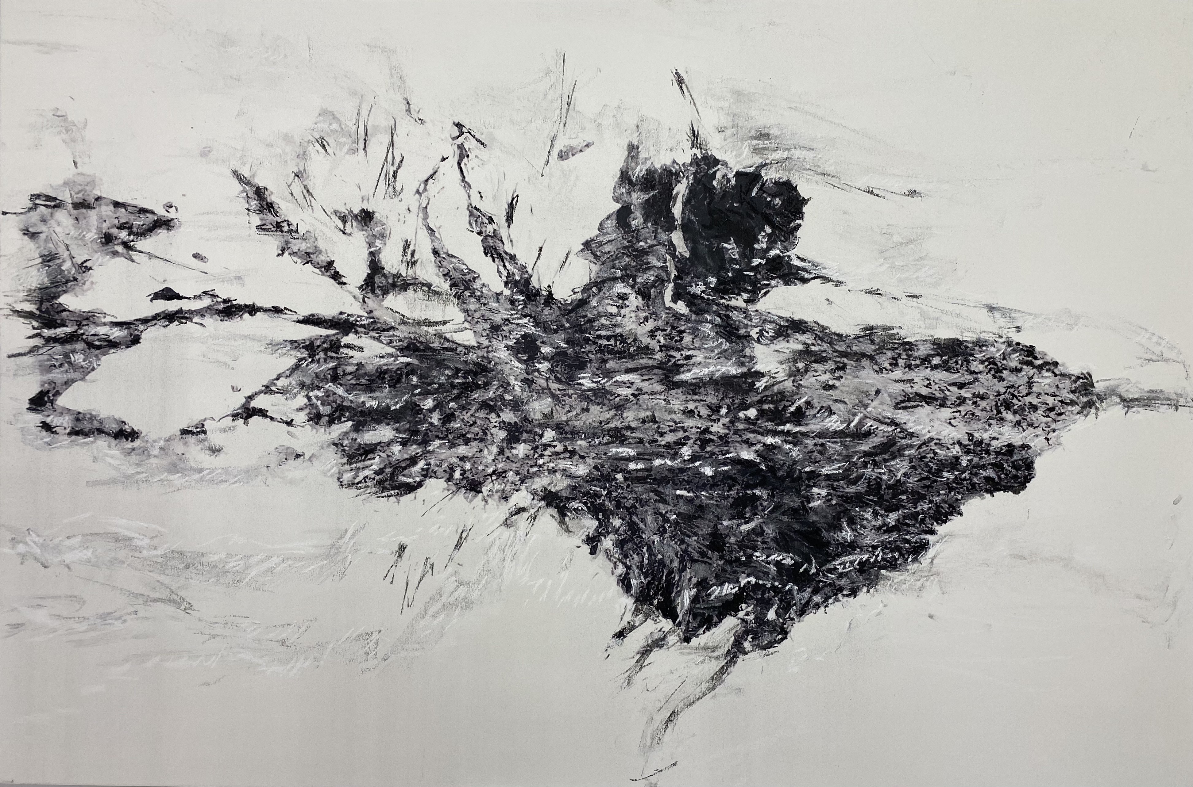 Ann Hoedt, Residual landscape 2 Ann Hoedt, Residual landscape 2