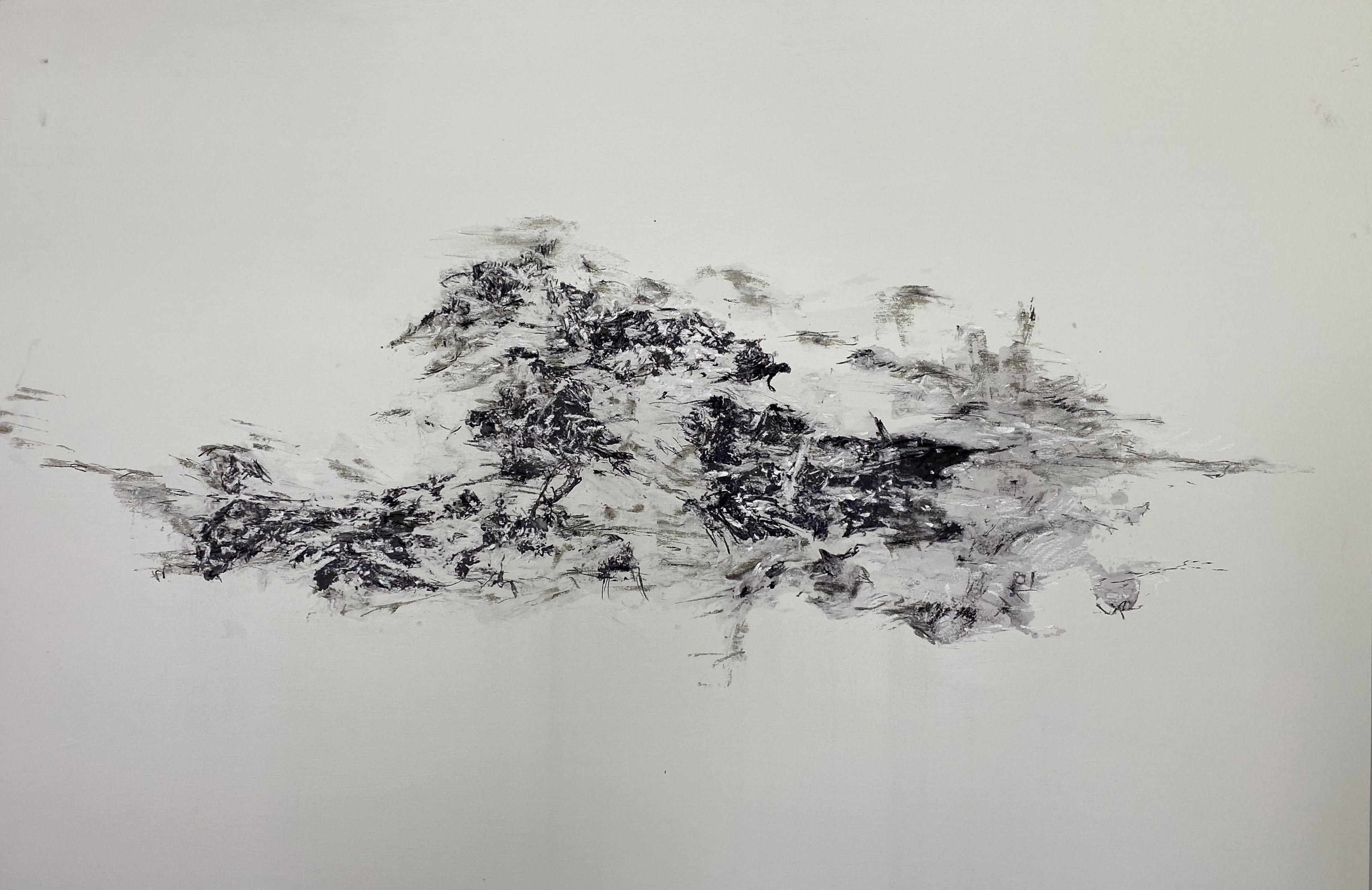 Ann Hoedt, Residual landscape 3 Ann Hoedt, Residual landscape 3
