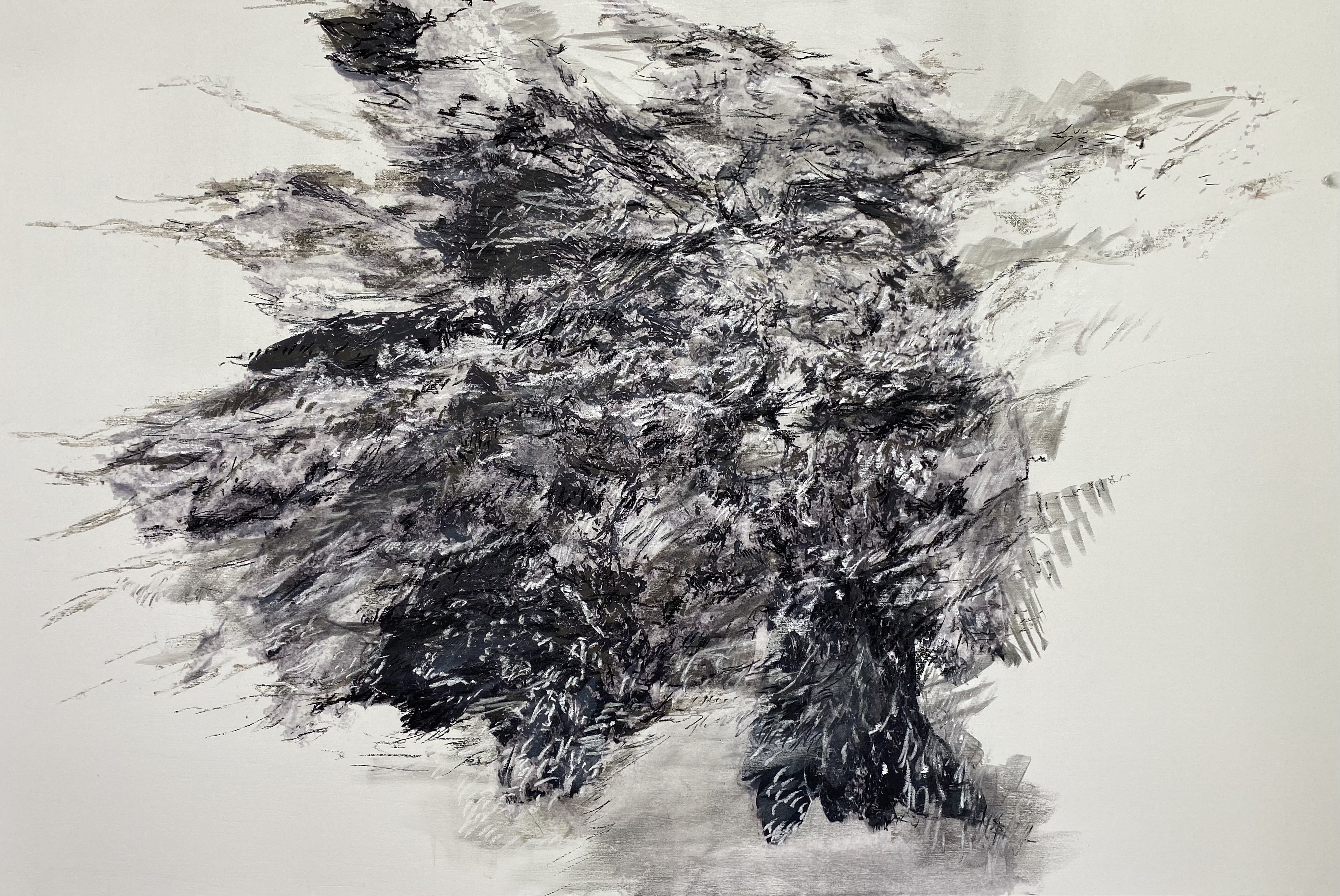 Ann Hoedt, Residual landscape 4 Ann Hoedt, Residual landscape 4
