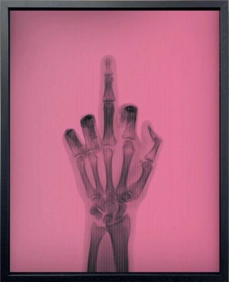 Nick Veasey, The Bird in Colour No 5 MM Nick Veasey, The Bird in Colour No 5 MM