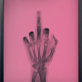 Fotografien, The Bird in Colour No 5, Nick Veasey