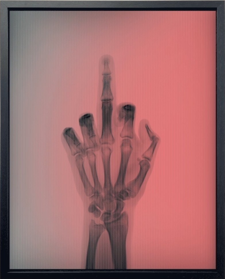Nick Veasey, The Bird in Colour No 6 MR Nick Veasey, The Bird in Colour No 6 MR
