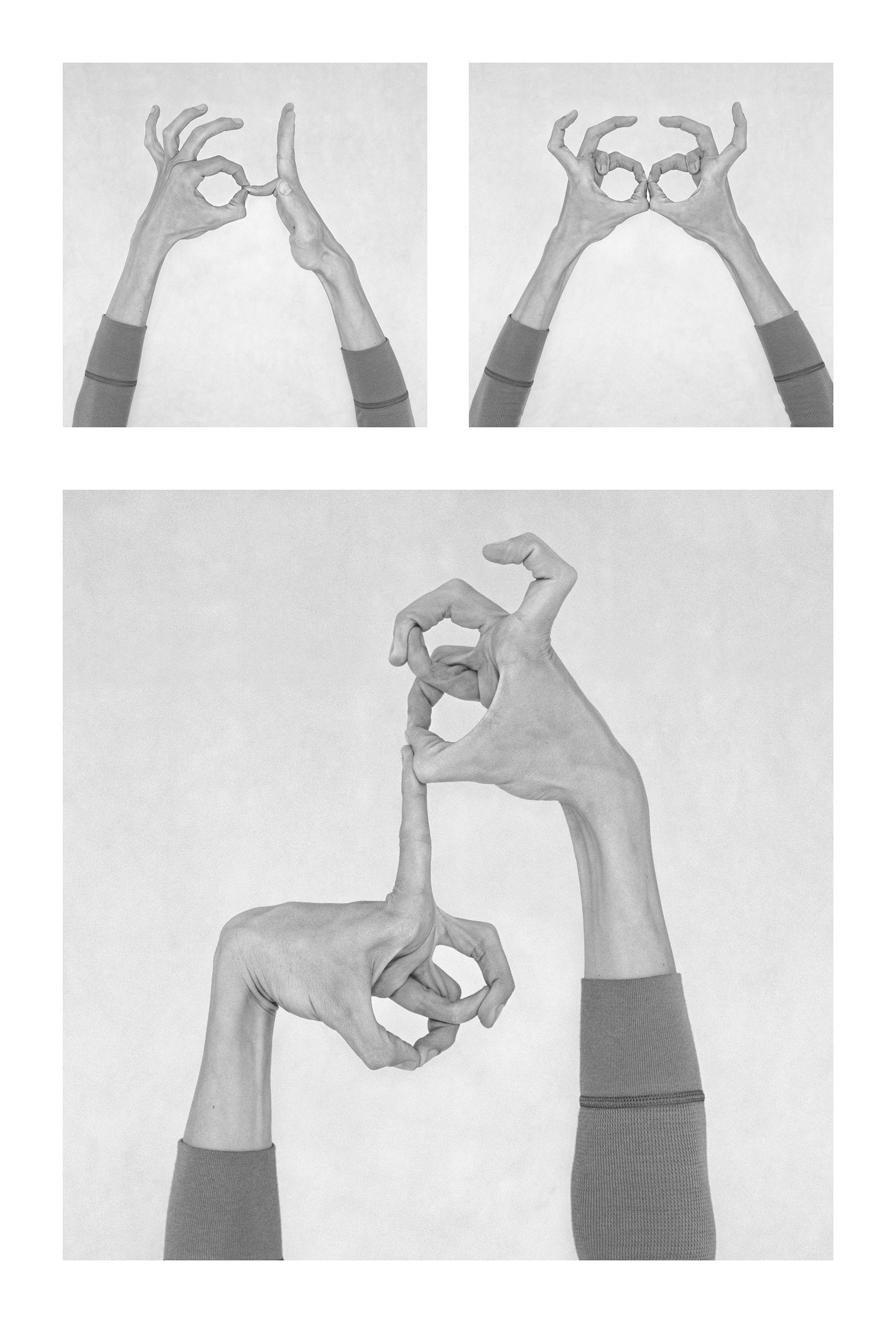 Nico Baixas / Gos-com-fuig, Untitled XIX, XXI, and XX Nico Baixas / Gos-com-fuig, Untitled XIX, XXI, and XX