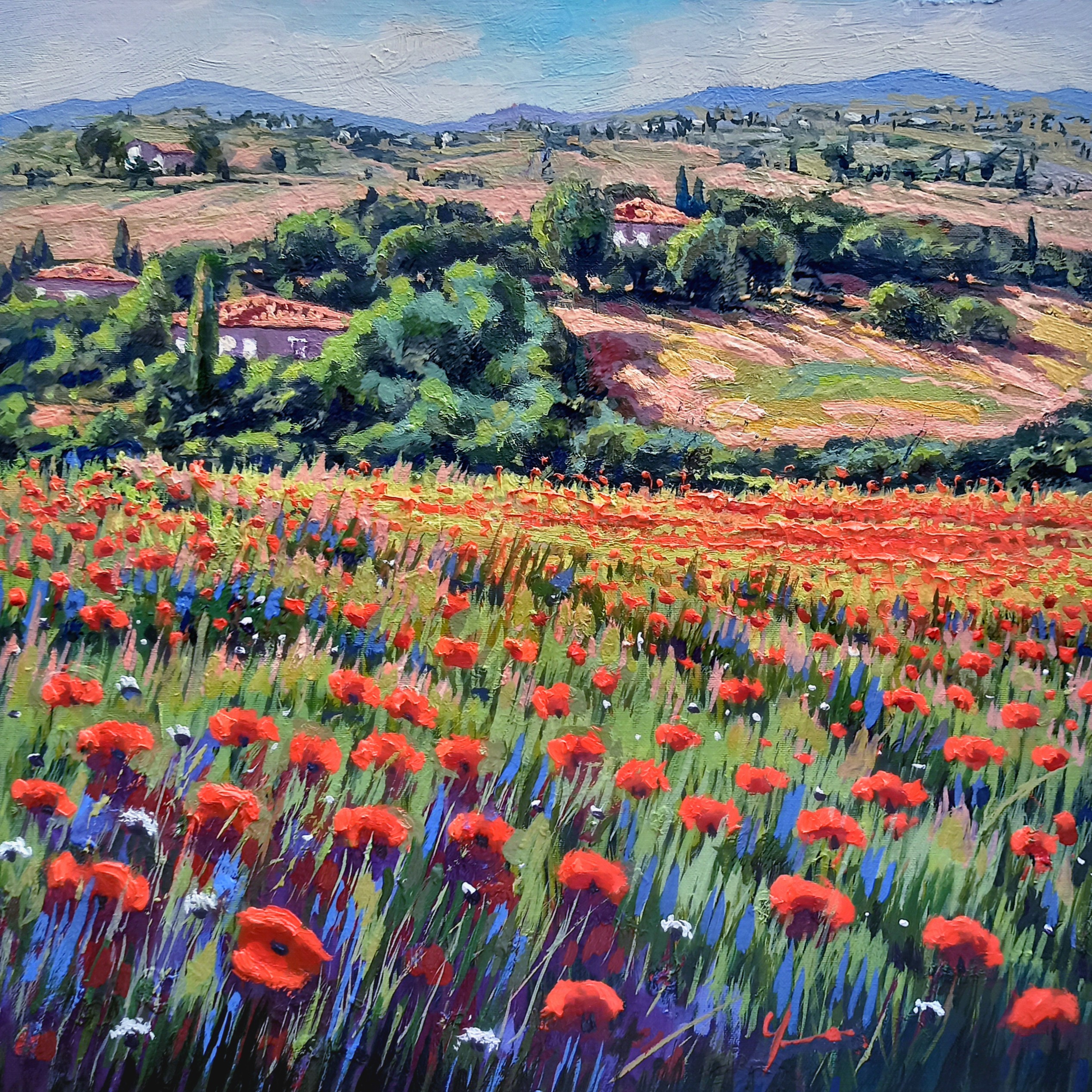 Roberto Gai, Expanse of red poppies - Tuscany painting landscape Roberto Gai, Expanse of red poppies - Tuscany painting landscape