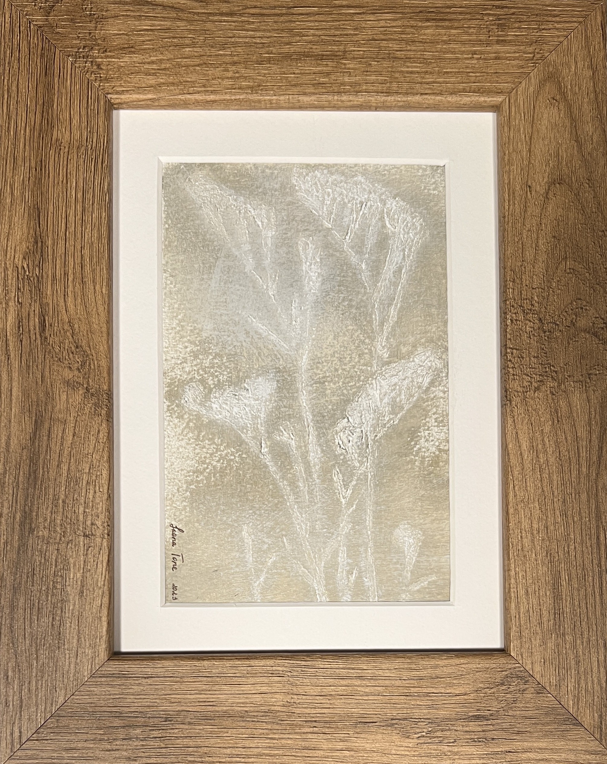 Irena Tone, Raw Umber Limonium Sinuatum Irena Tone, Raw Umber Limonium Sinuatum