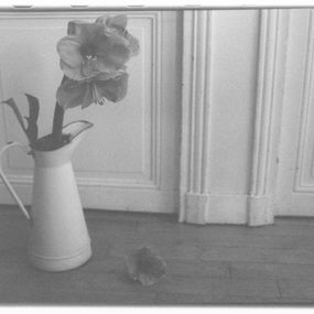 Photography, La Fleur de Daniele, Veronica Mecchia