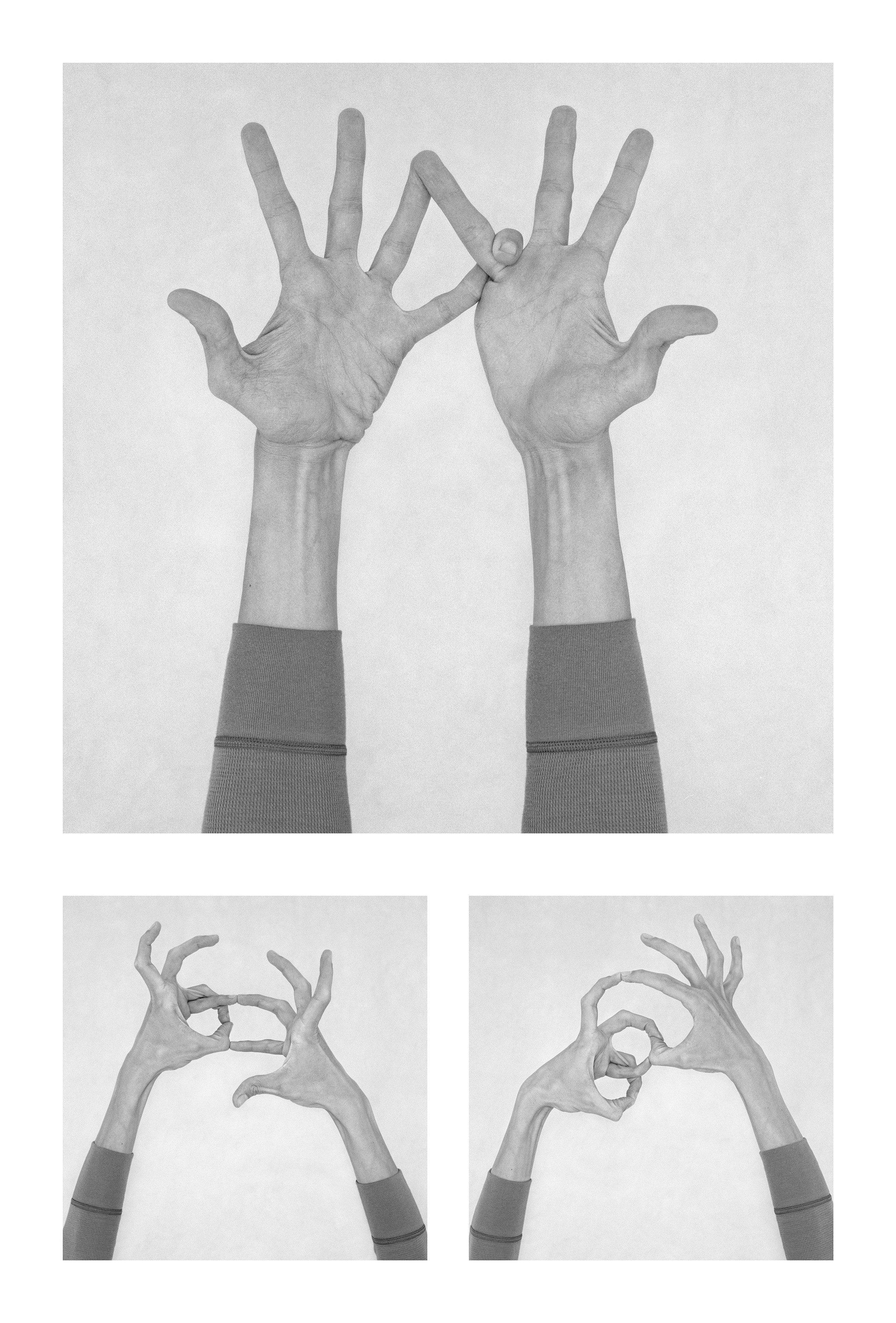 Nico Baixas / Gos-com-fuig, Untitled I, Untitled II, and Untitled XI Nico Baixas / Gos-com-fuig, Untitled I, Untitled II, and Untitled XI
