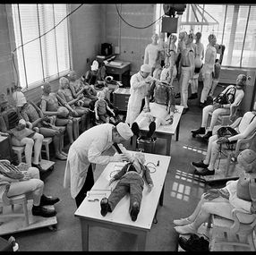 Photography, Crash Test Dummies, Arthur Steel