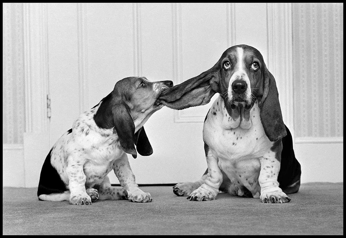 Arthur Steel, Lend Me Your Ear Daffy And Joyful Arthur Steel, Lend Me Your Ear Daffy And Joyful