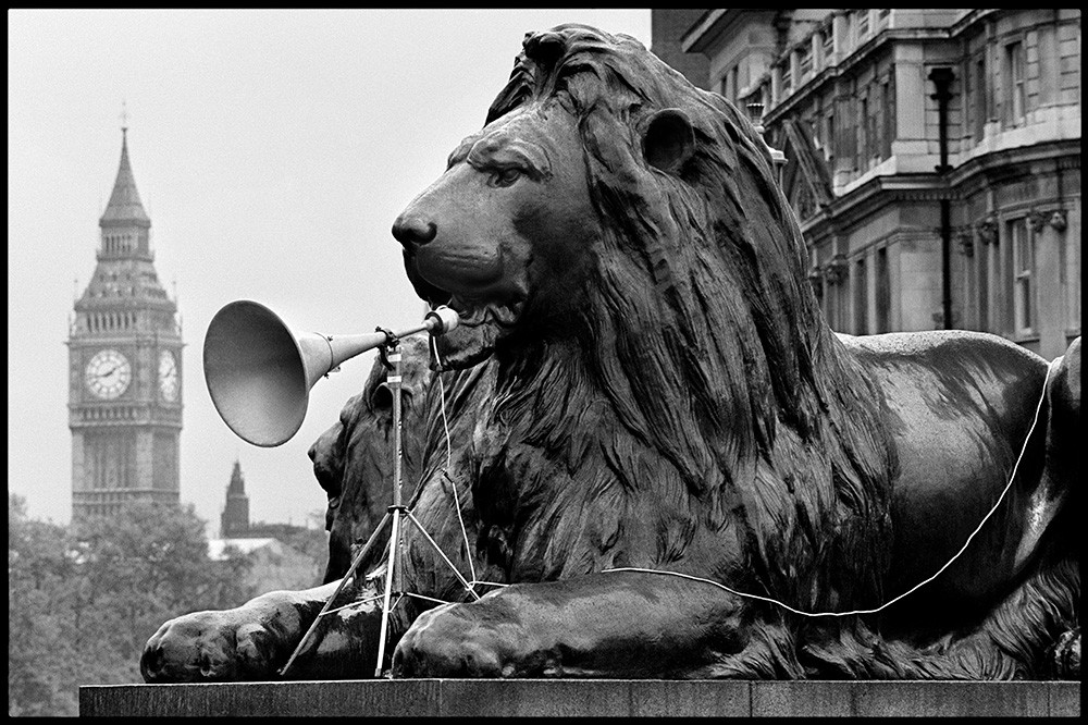 Arthur Steel, Uproar Landseer Lion Arthur Steel, Uproar Landseer Lion