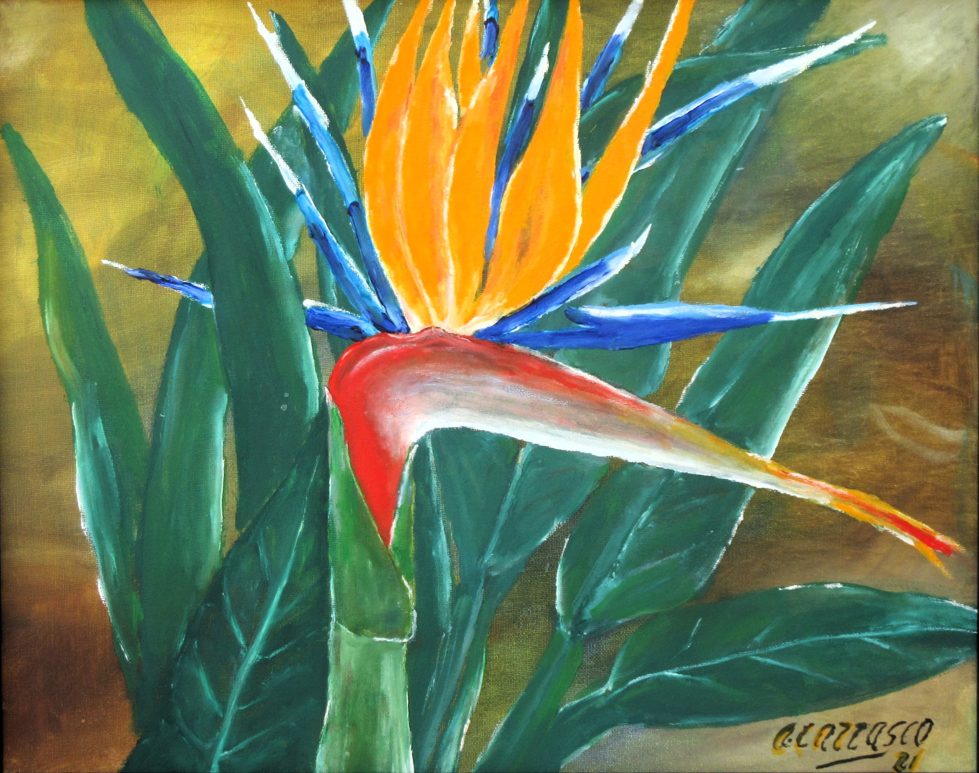 Toni Carrasco, Flor Toni Carrasco, Flor