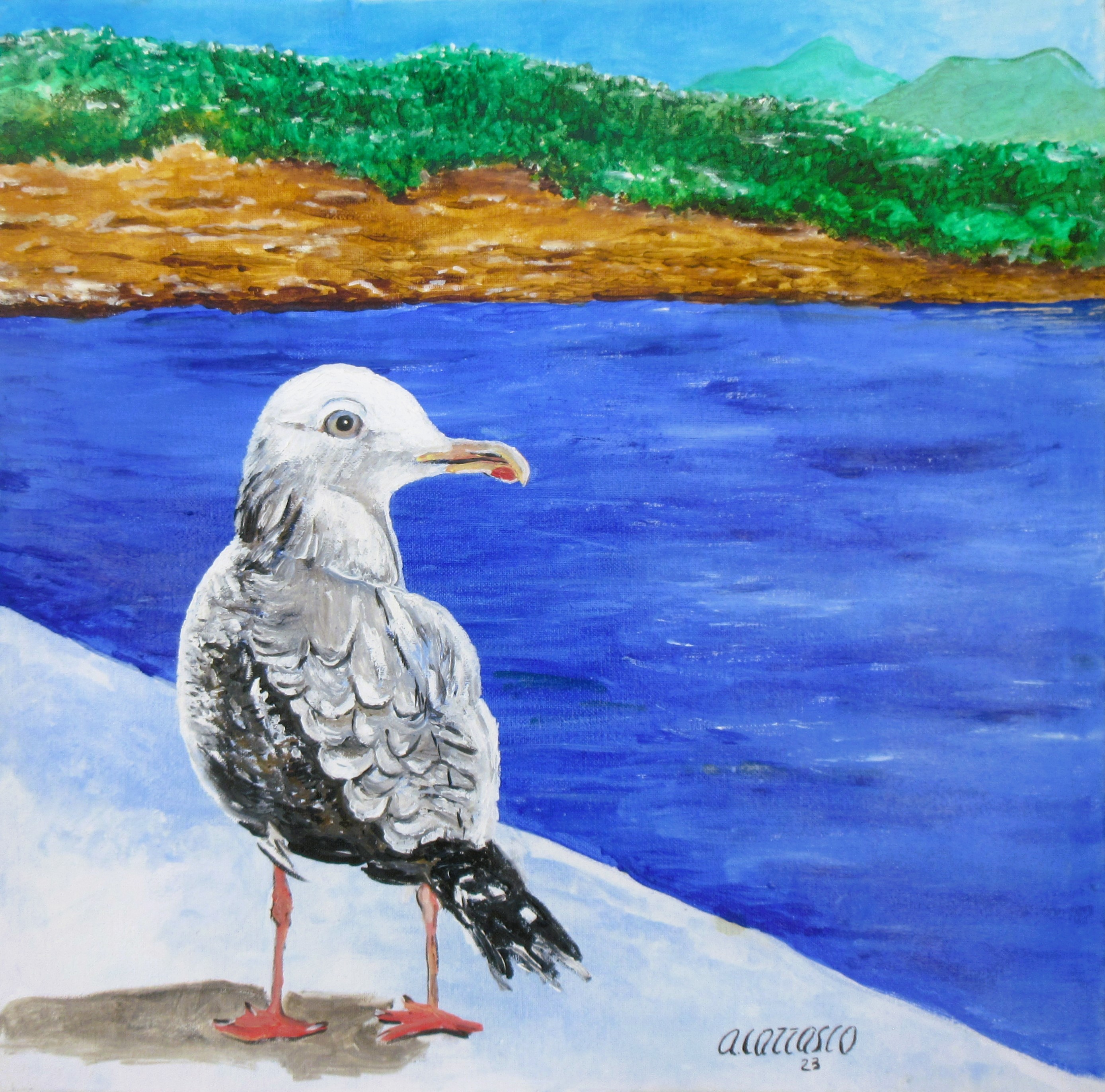 Toni Carrasco, Pajaro Toni Carrasco, Pajaro