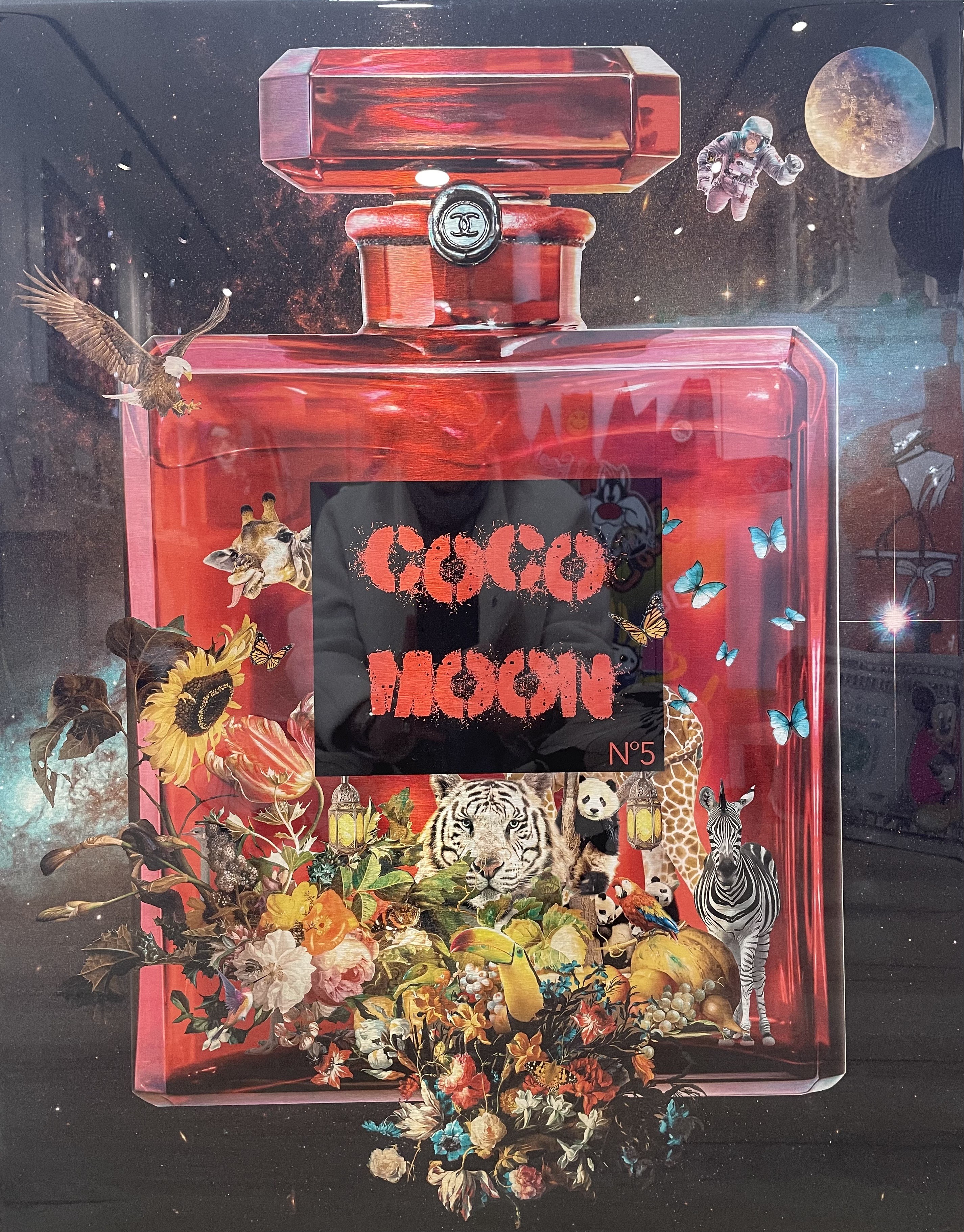 Diederik Van Apple, Coco Moon n°5 Diederik Van Apple, Coco Moon n°5