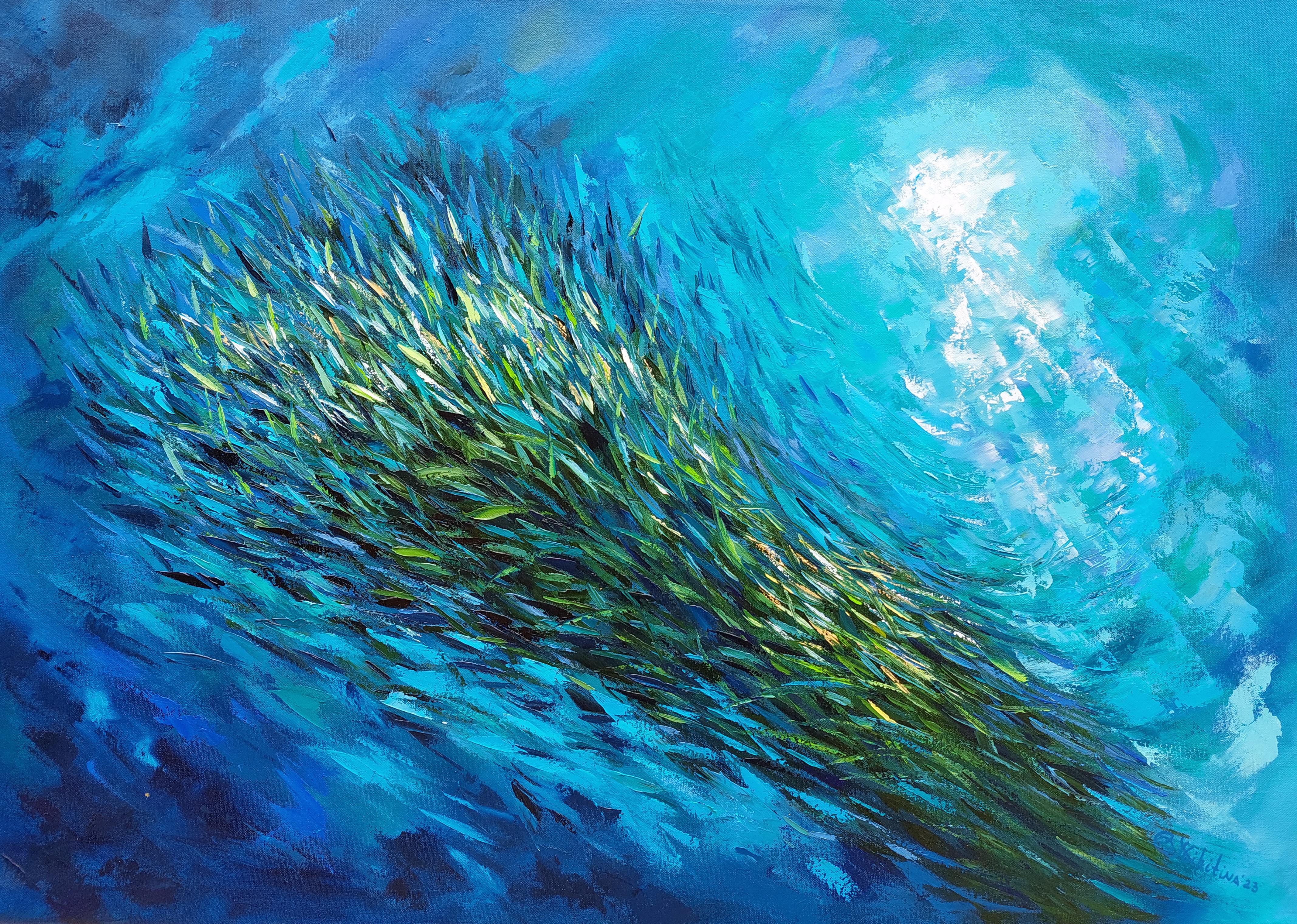Olga Nikitina, Sardine Run South Africa Olga Nikitina, Sardine Run South Africa