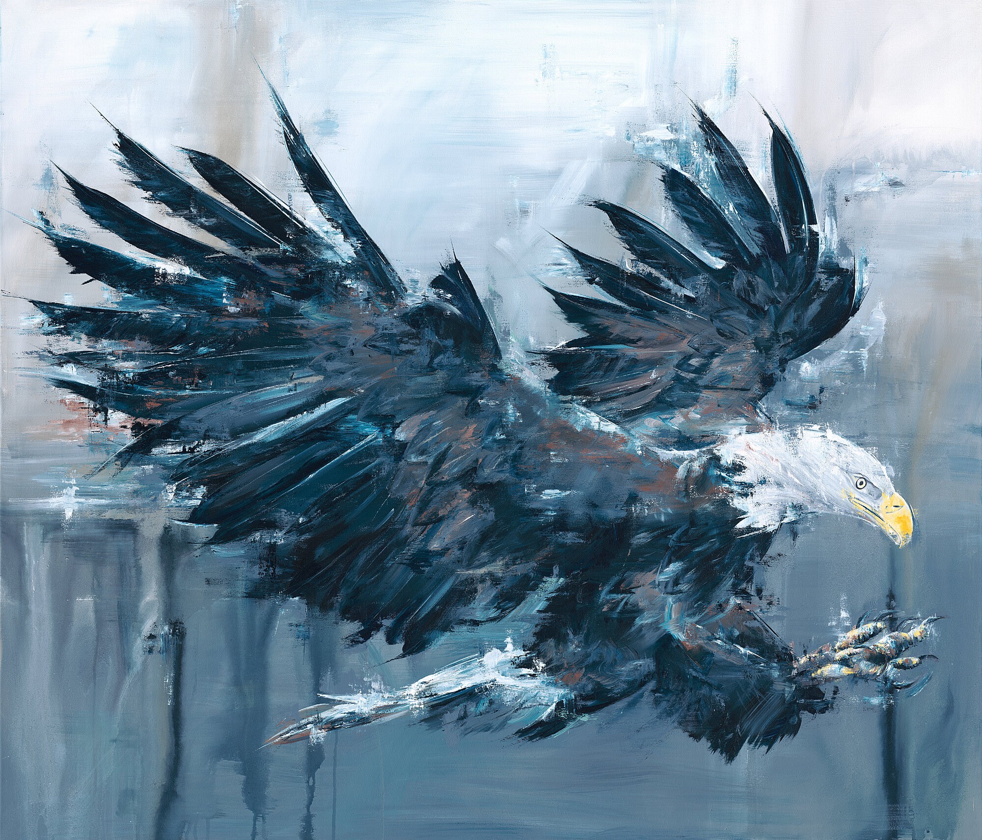 Stephanie Blaess, Raptor Stephanie Blaess, Raptor