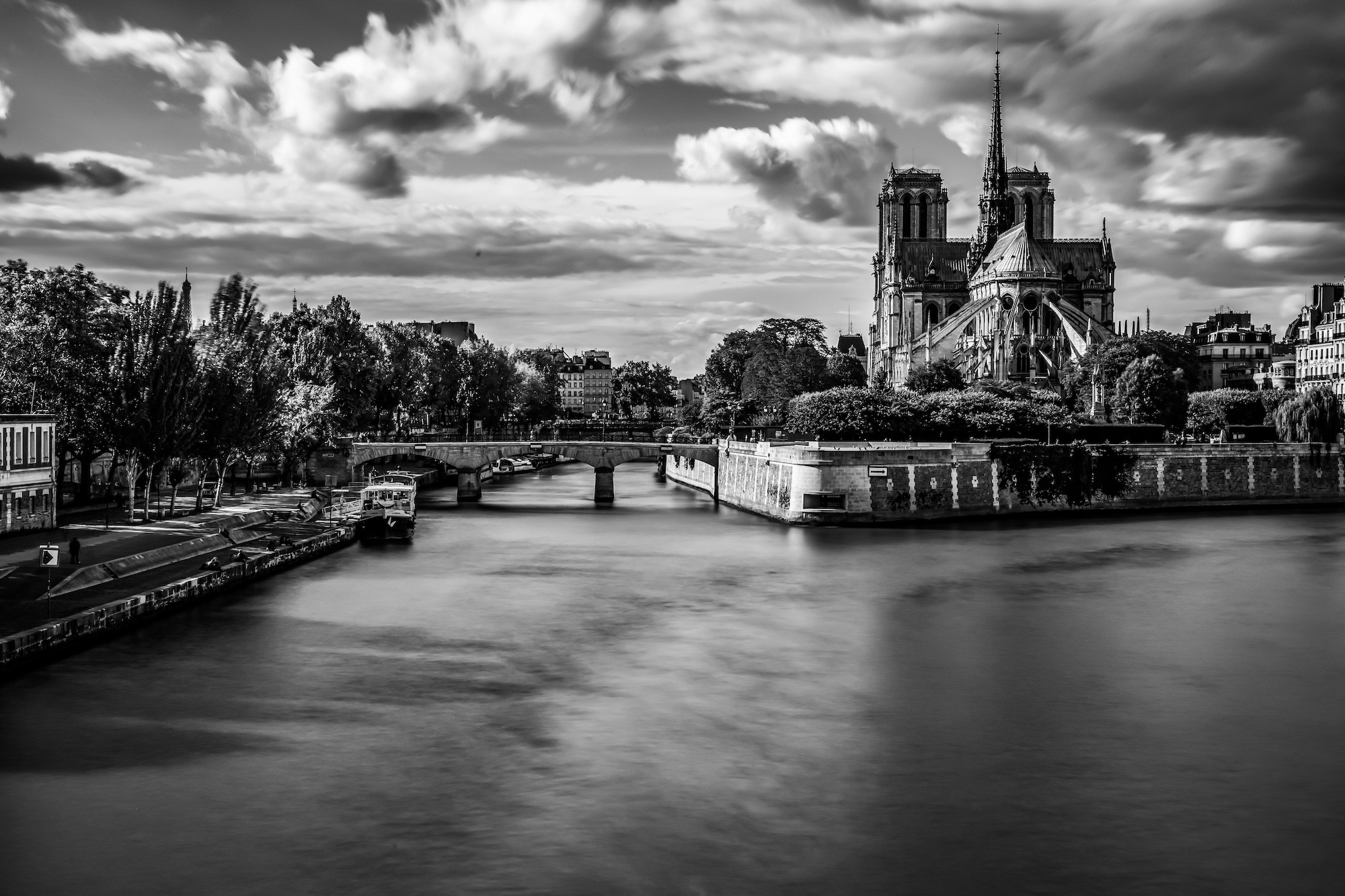 Gauthier Bouret, Notre Dame de Paris II Gauthier Bouret, Notre Dame de Paris II
