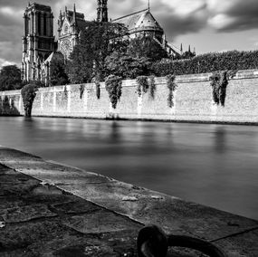 Photographie, Notre Dame de Paris III, Gauthier Bouret