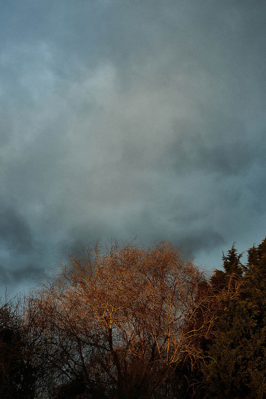 Romain Reveau, Avant l'orage Romain Reveau, Avant l'orage