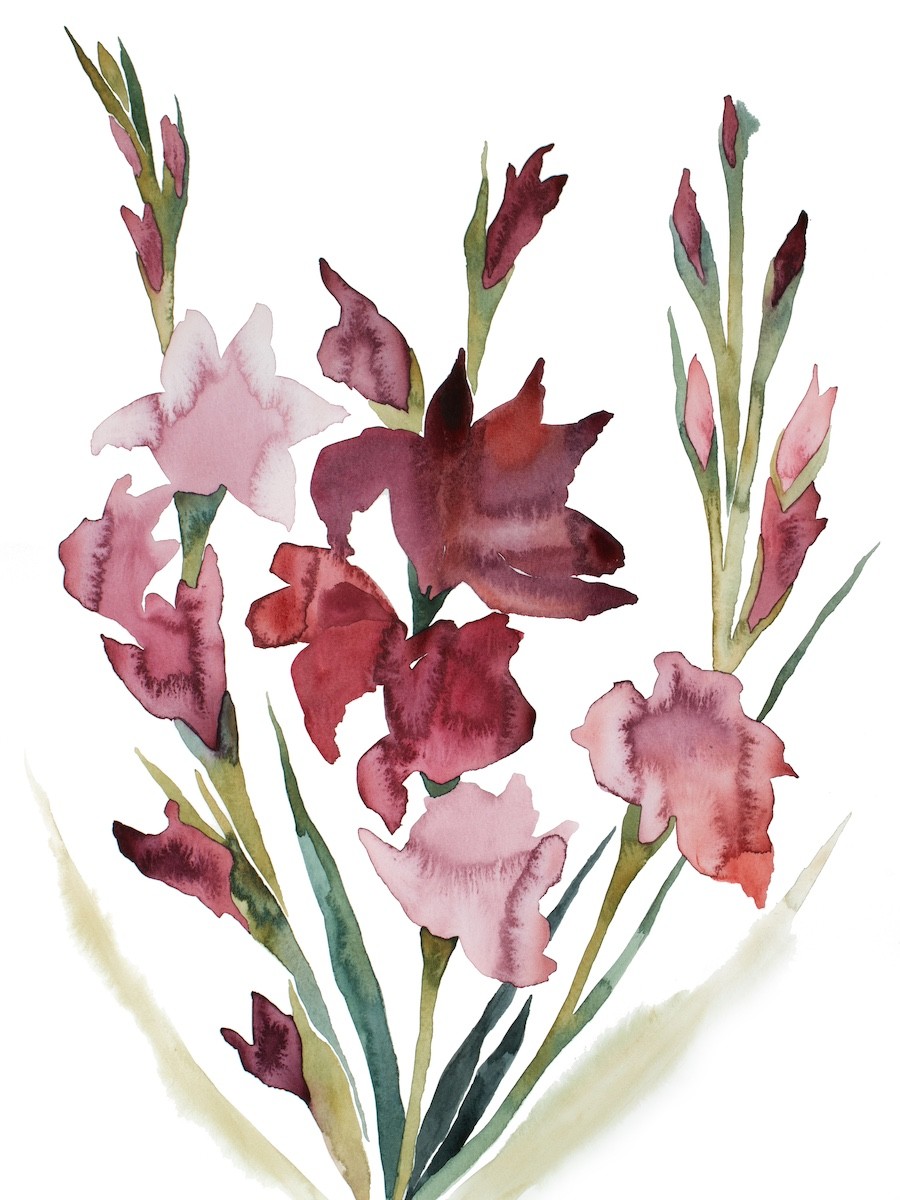 Elizabeth Becker, Gladiolus no. 2 Elizabeth Becker, Gladiolus no. 2
