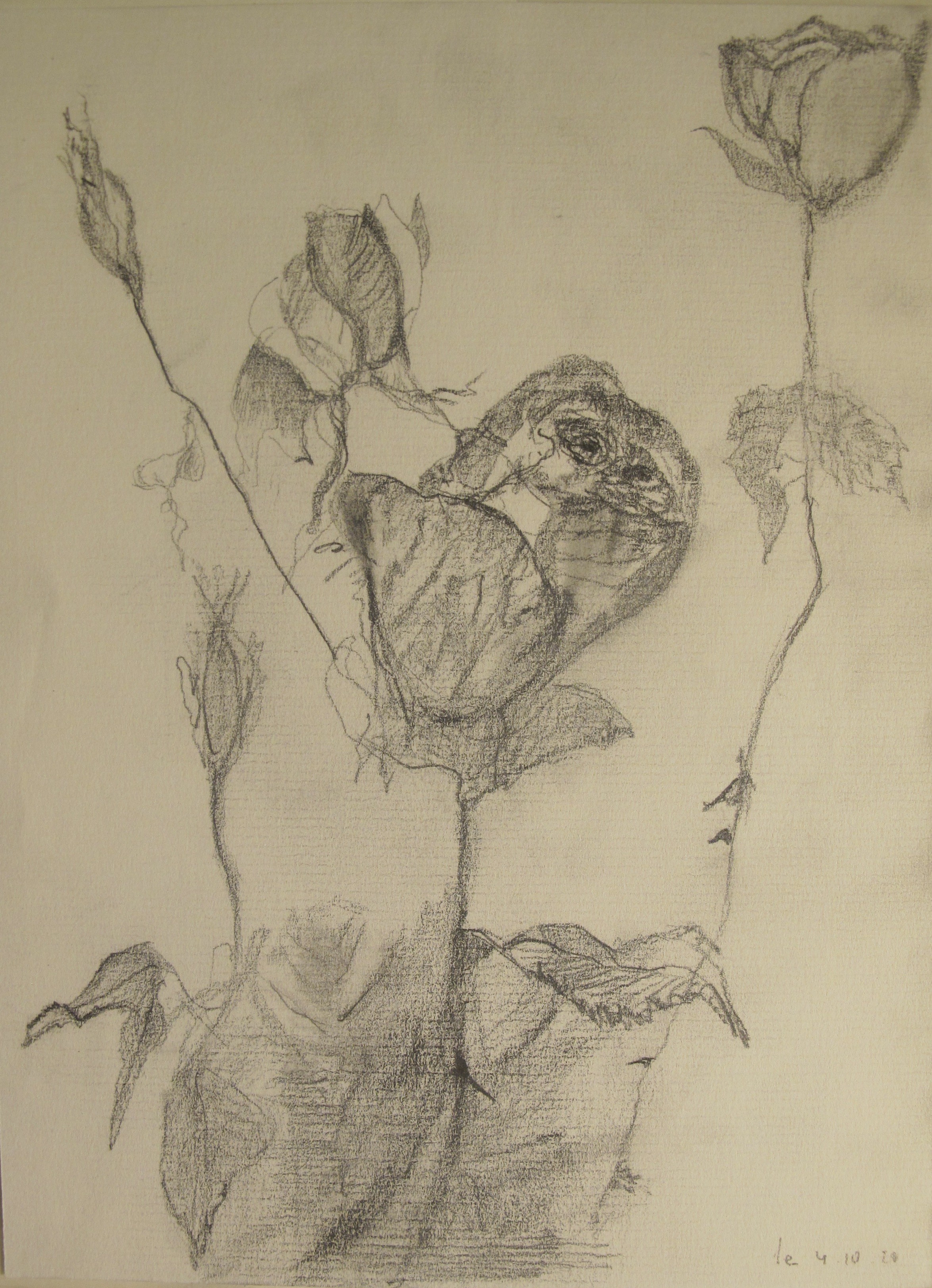 Juliette Wegrzyk, Les roses Juliette Wegrzyk, Les roses
