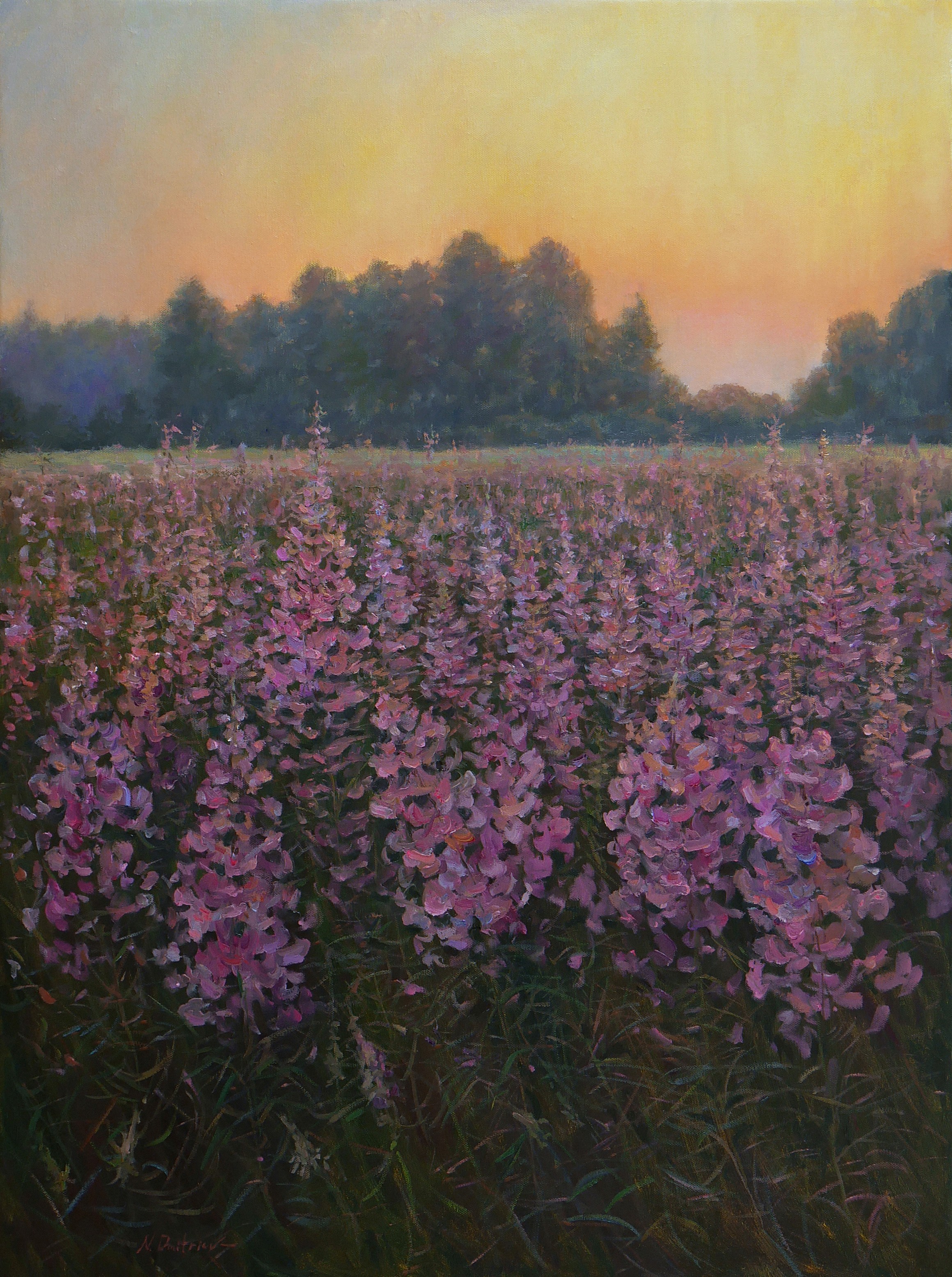 Nikolay Dmitriev, Sunset Over The Fireweed Field - sunset landscape painting Nikolay Dmitriev, Sunset Over The Fireweed Field - sunset landscape painting