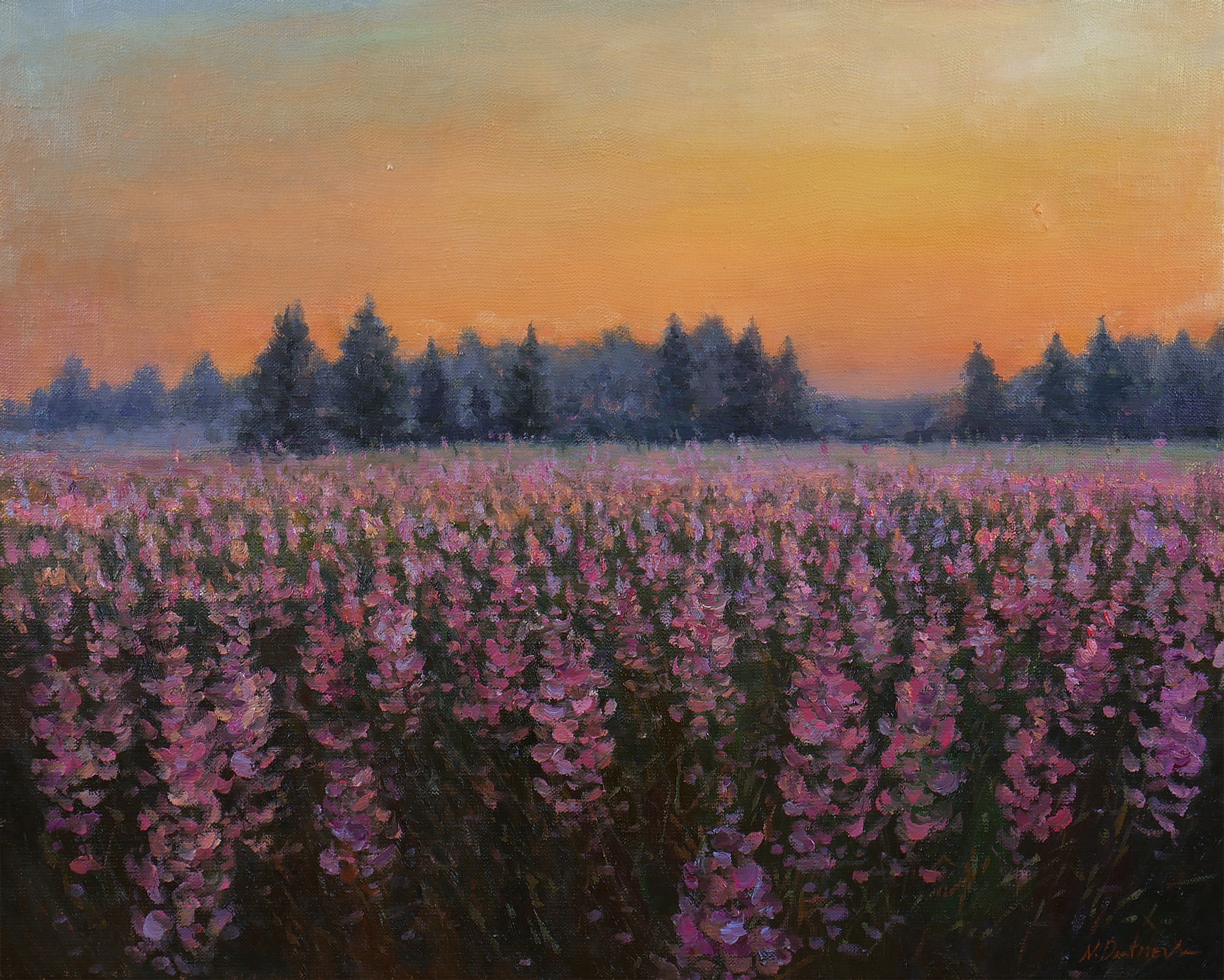 Nikolay Dmitriev, Sunset Above The Fireweed Field - original summer landscape painting Nikolay Dmitriev, Sunset Above The Fireweed Field - original summer landscape painting