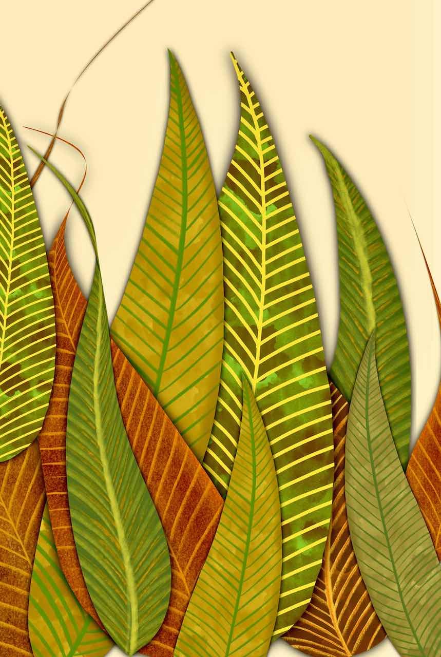 Sumit Mehndiratta, Leafology 4 Sumit Mehndiratta, Leafology 4