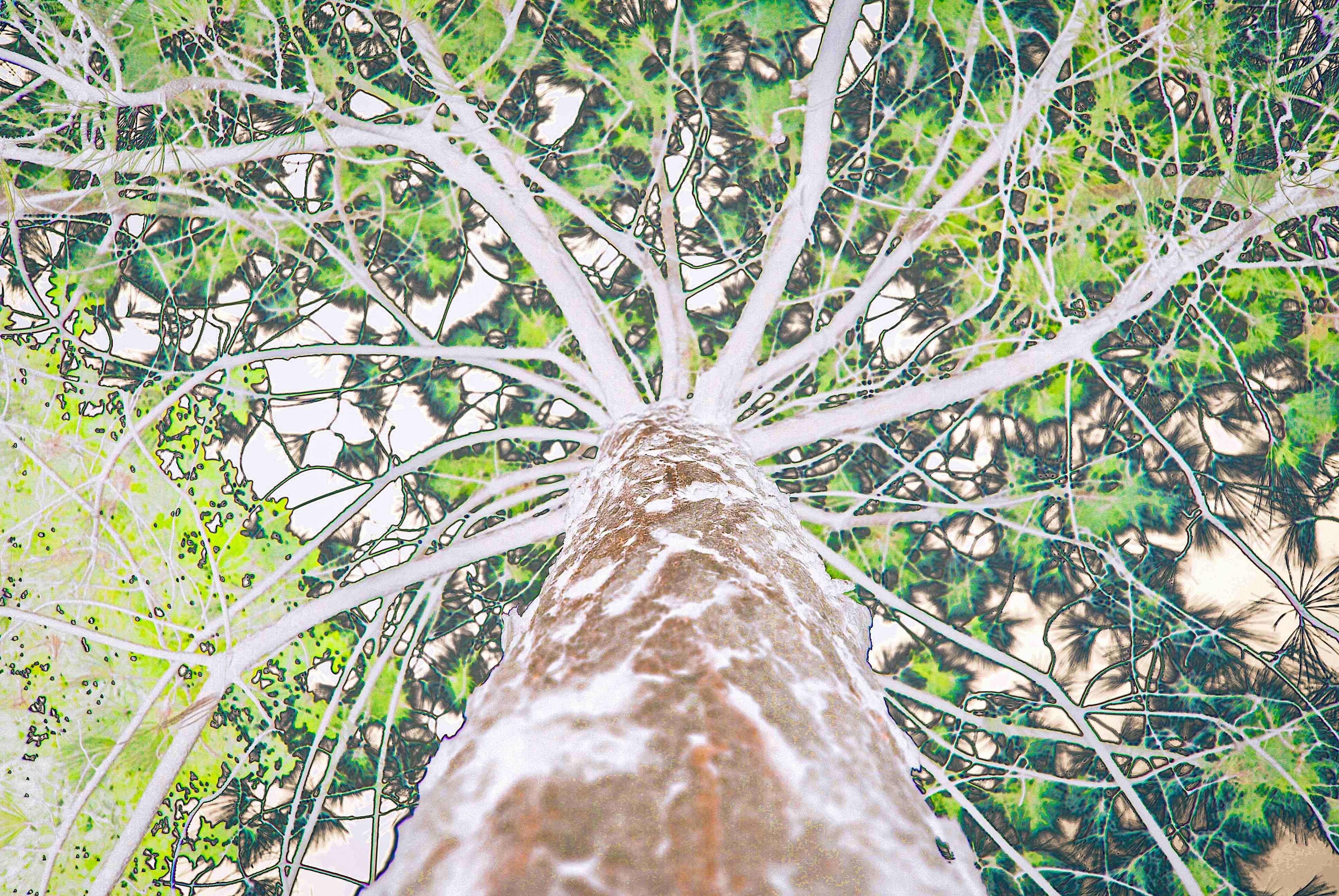 Sumit Mehndiratta, A Squirrel's Day Sumit Mehndiratta, A Squirrel's Day