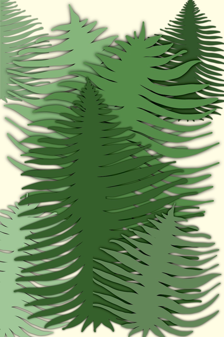 Sumit Mehndiratta, My Own Leaf Sumit Mehndiratta, My Own Leaf