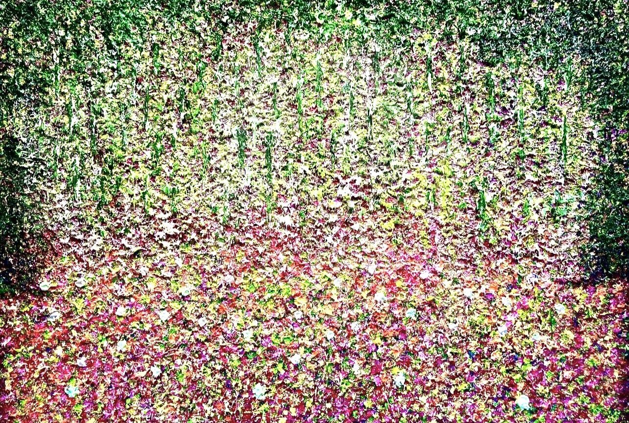 Rawia Zantout, Summer Bloom Rawia Zantout, Summer Bloom