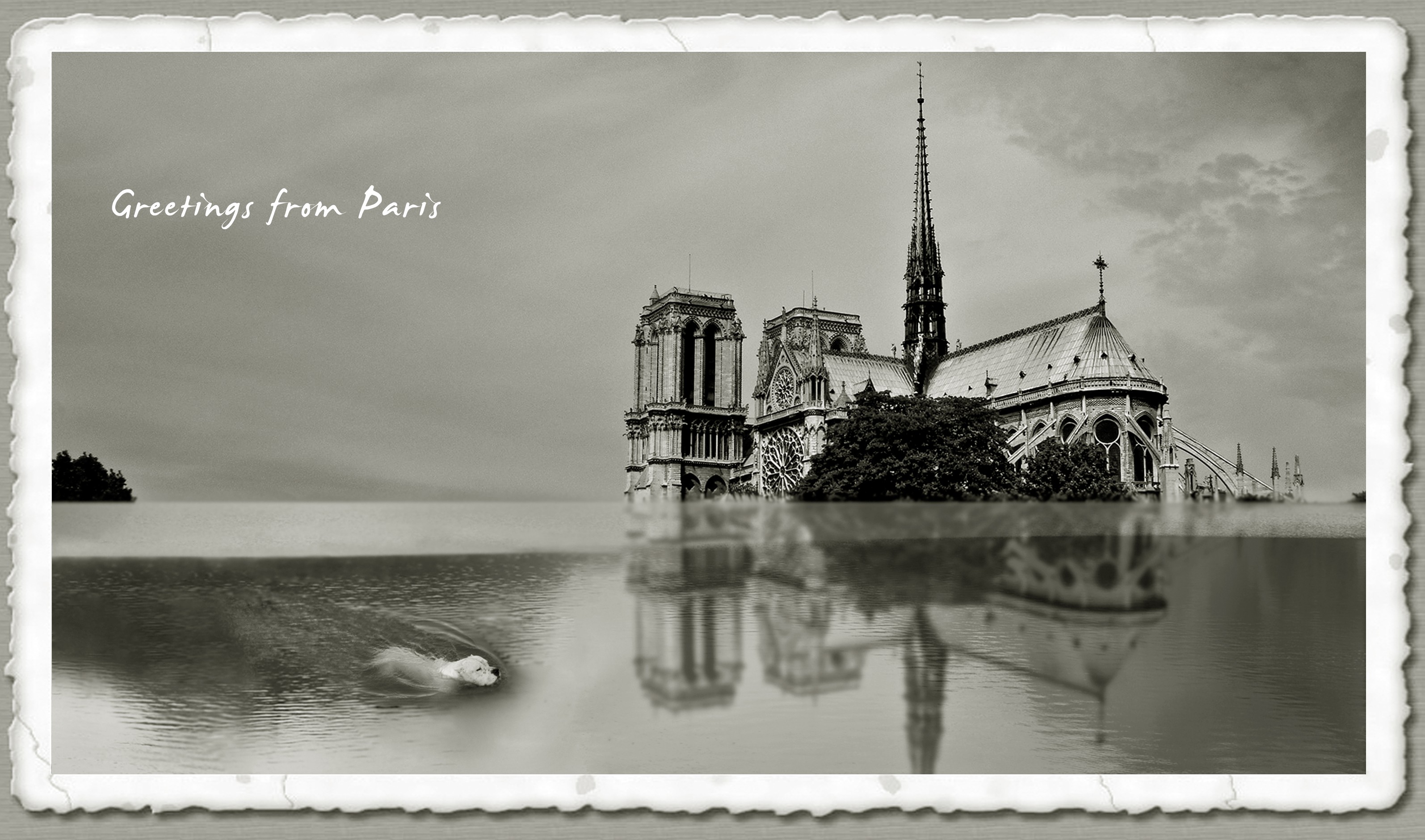 Milena Jovicevic, Greeting from Paris Milena Jovicevic, Greeting from Paris