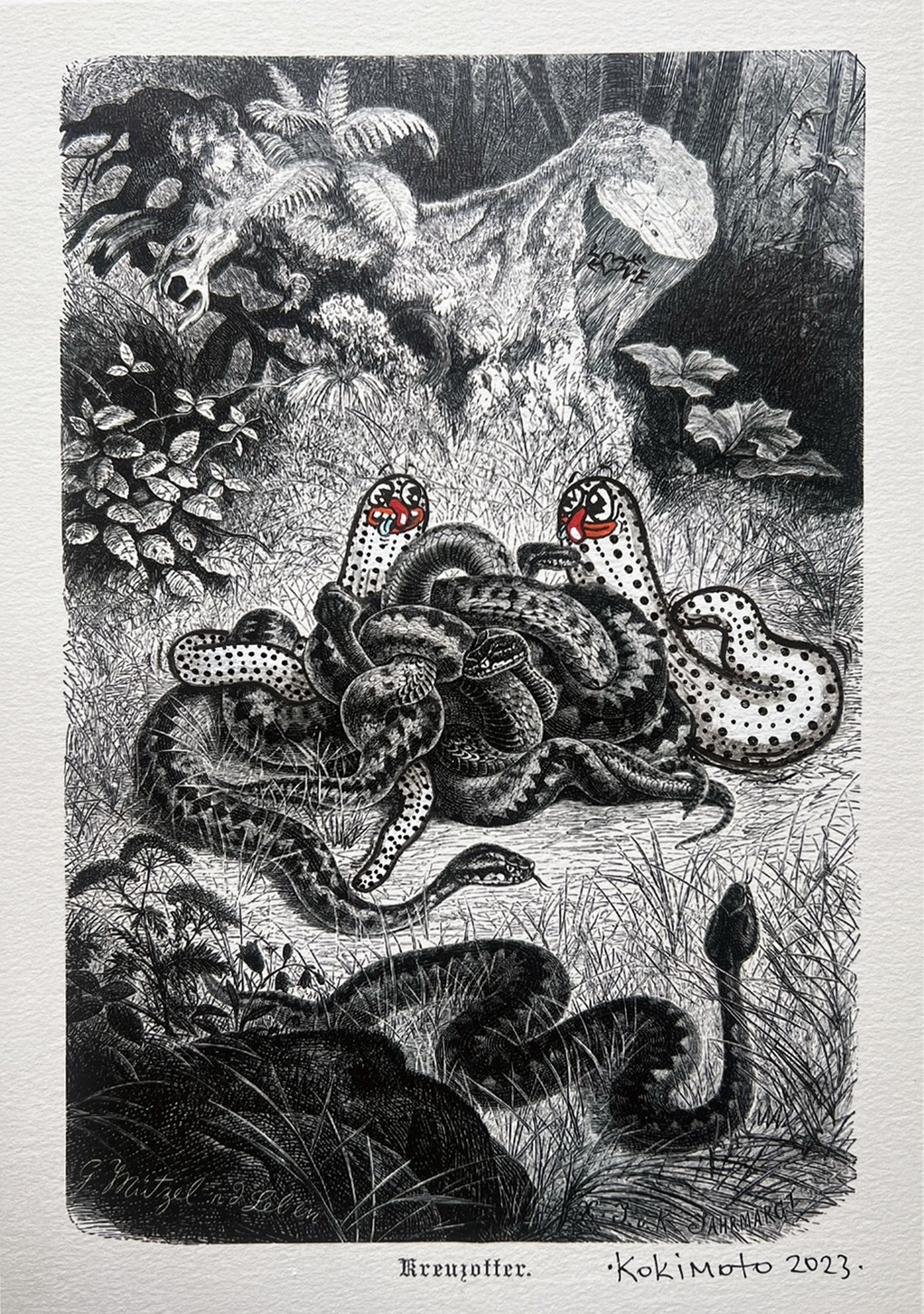 Kokimoto, Animalism 2 Kokimoto, Animalism 2