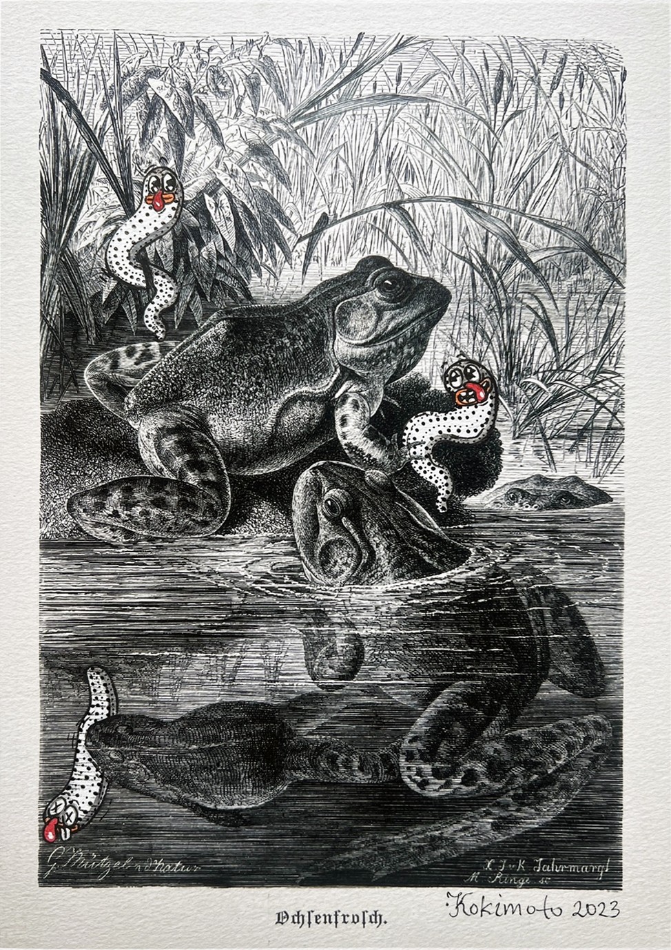 Kokimoto, Animalism 4 Kokimoto, Animalism 4