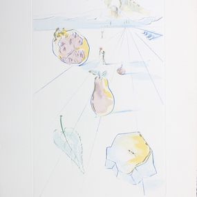 The Song Of Songs Of Solomon - I Went Down Into The Garden Of Nuts..., Salvador Dali