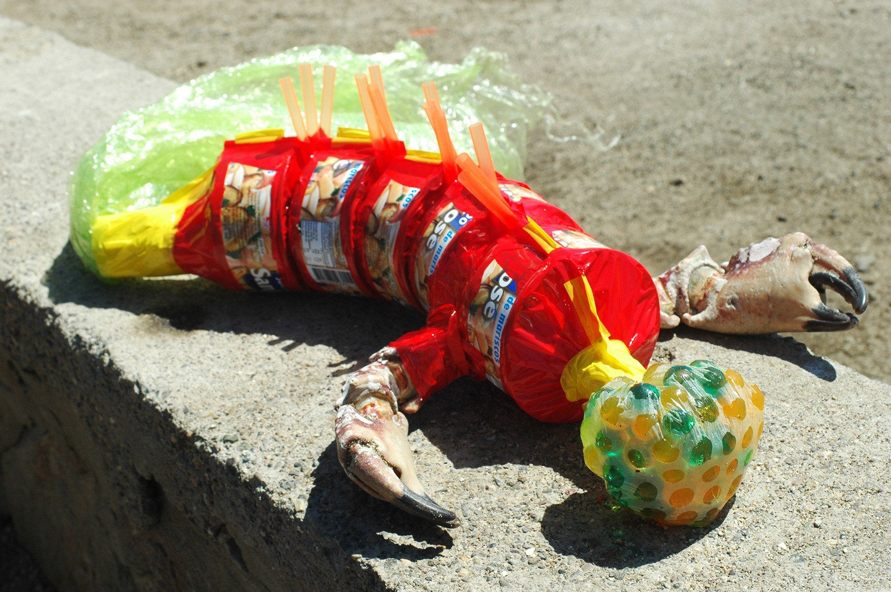 Rodrigo Etem, Lobster Rodrigo Etem, Lobster
