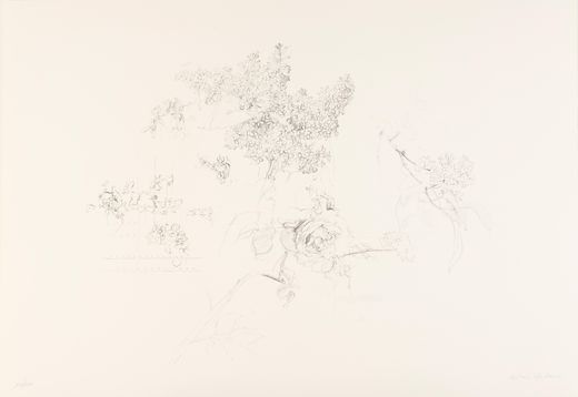Antonio Lopez Garcia