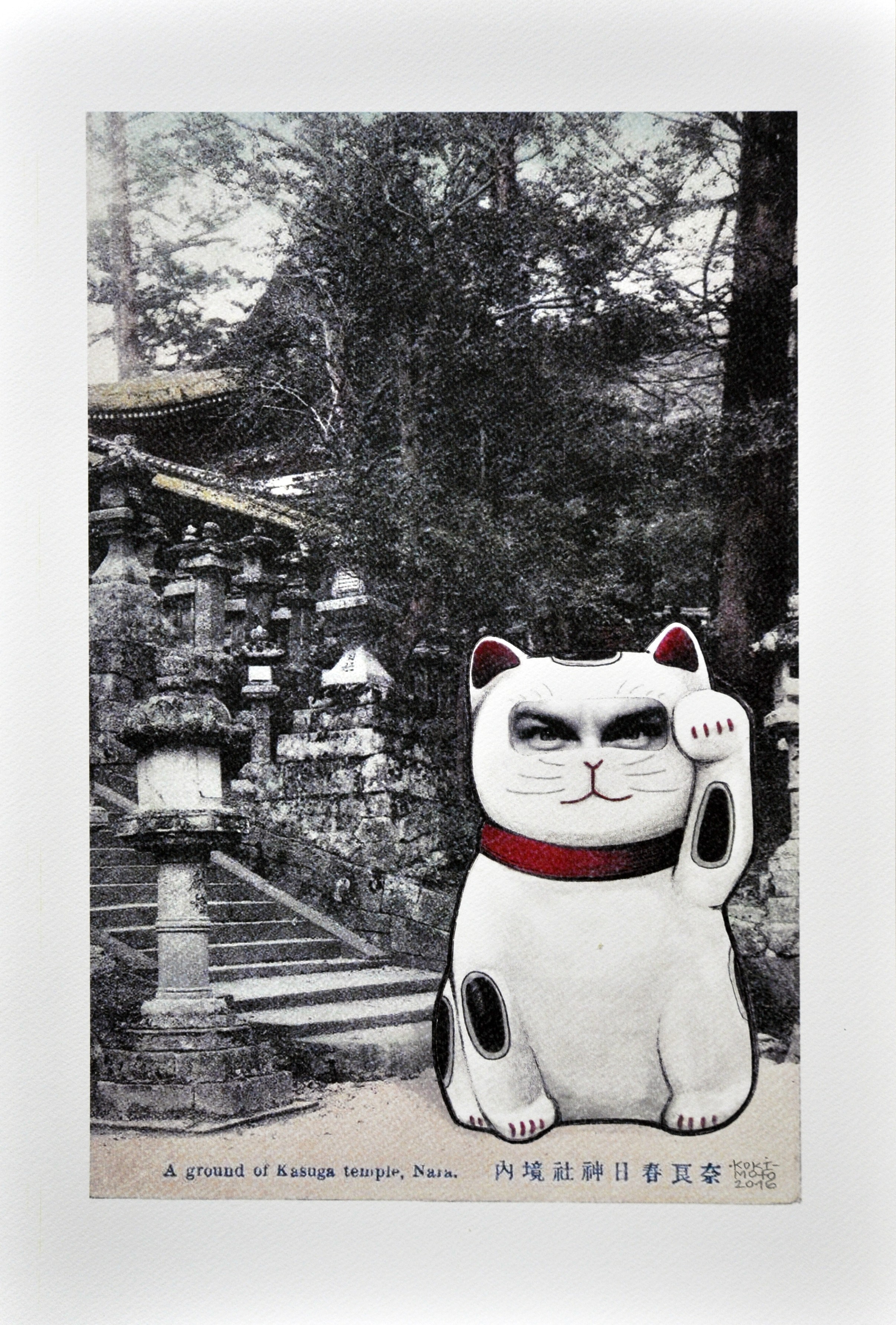 Kokimoto, Maneki Neko Asian Tour 6 Kokimoto, Maneki Neko Asian Tour 6