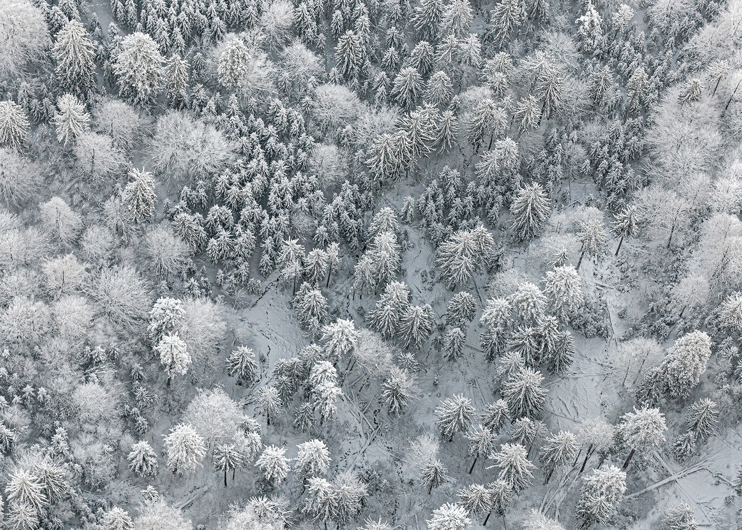 Bernhard Lang, AV_winter_015 Bernhard Lang, AV_winter_015