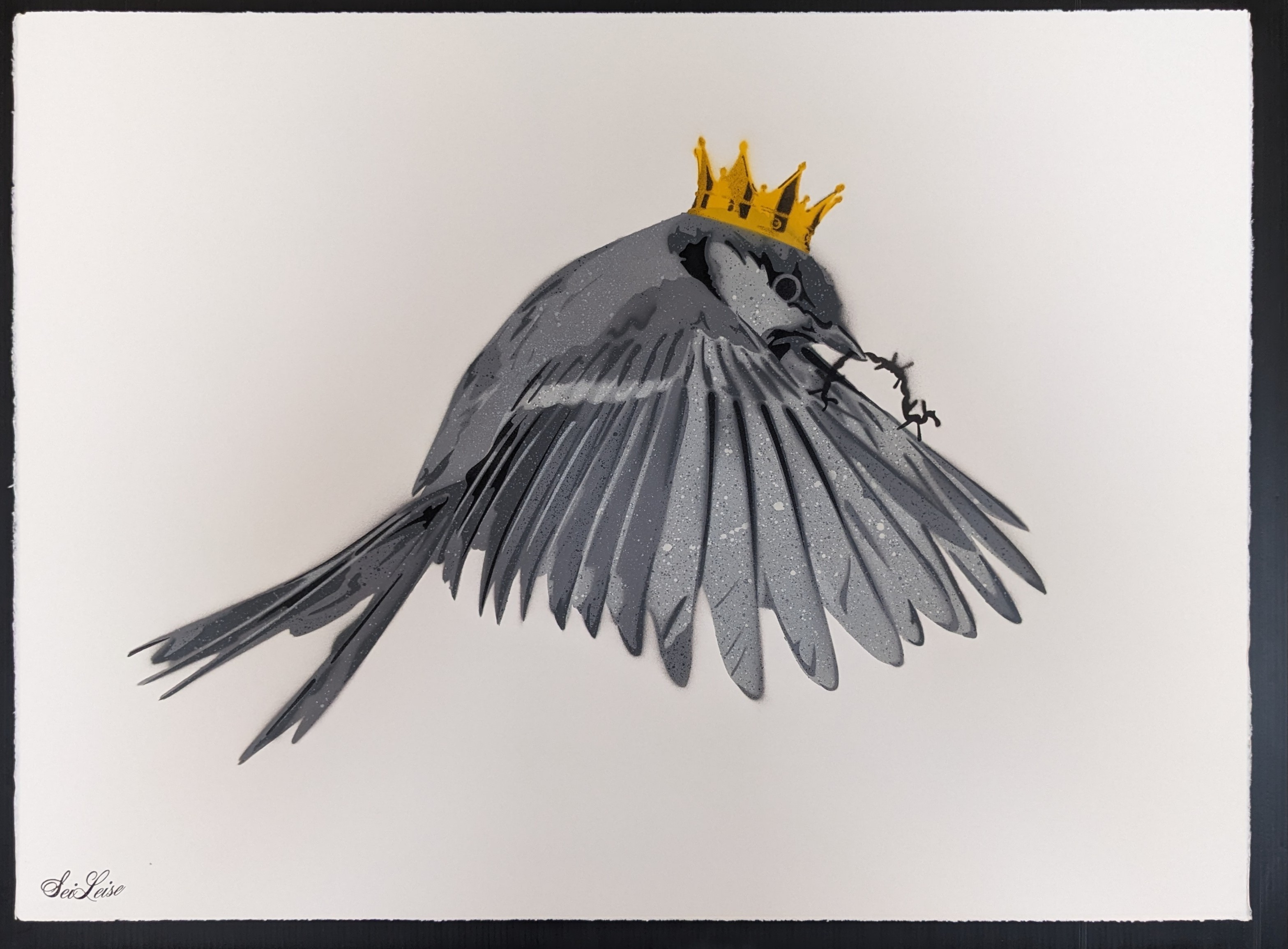 SeiLeise, Zaunkönig SeiLeise, Zaunkönig
