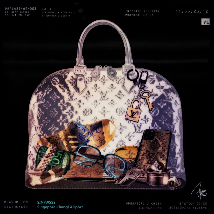 Beautiful Louis Vuitton bag. [PIC] : r/pics