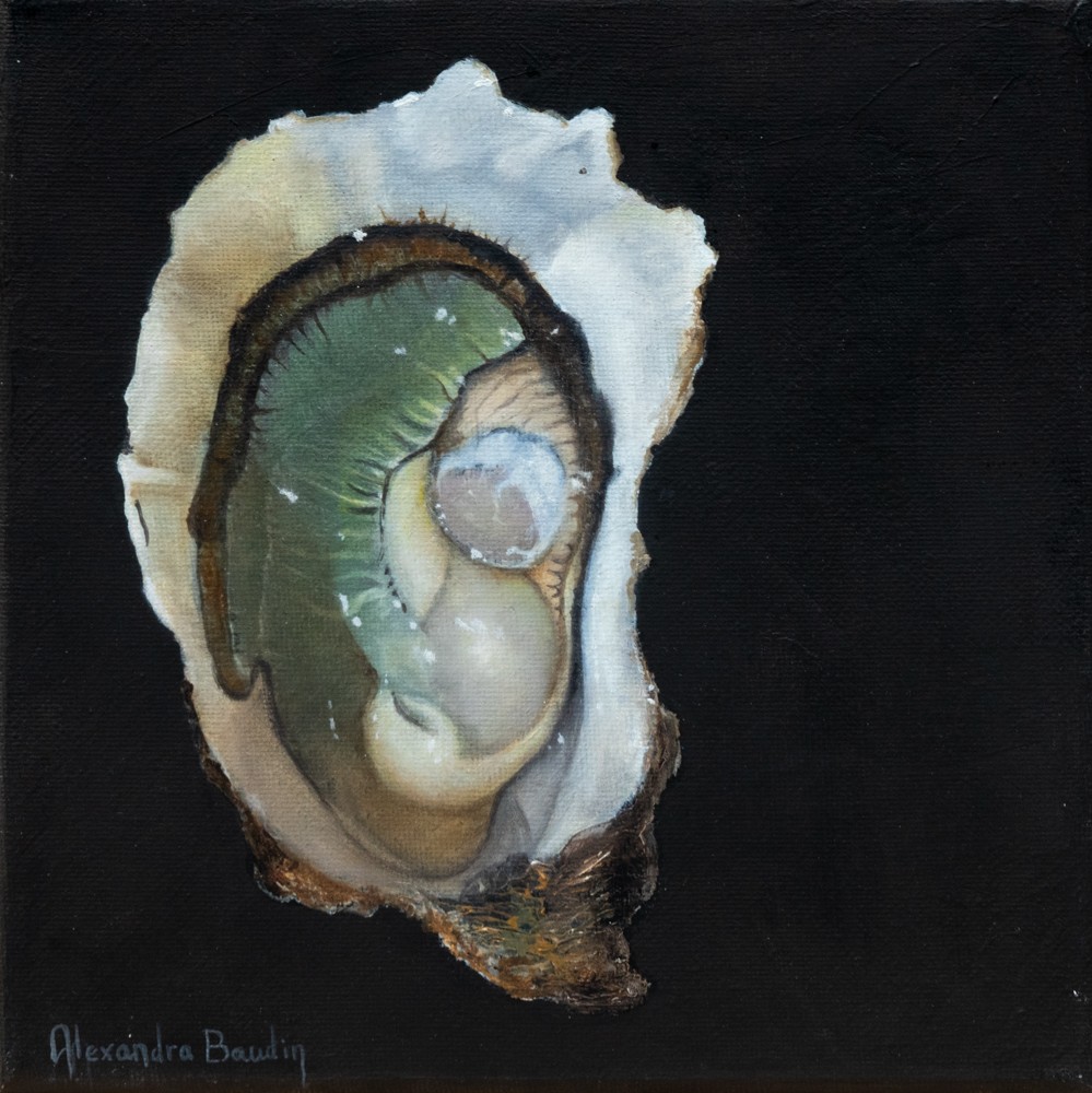Alexandra Baudin, Huitre - série coquillage de mer Alexandra Baudin, Huitre - série coquillage de mer