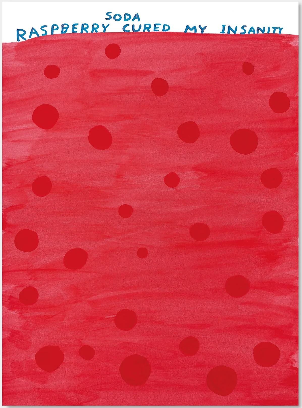 David Shrigley, Raspberry soda cured my insanity David Shrigley, Raspberry soda cured my insanity
