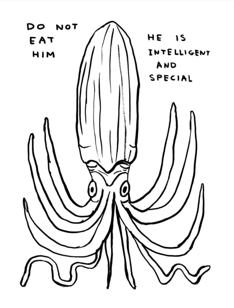 David Shrigley, Do not eat him David Shrigley, Do not eat him