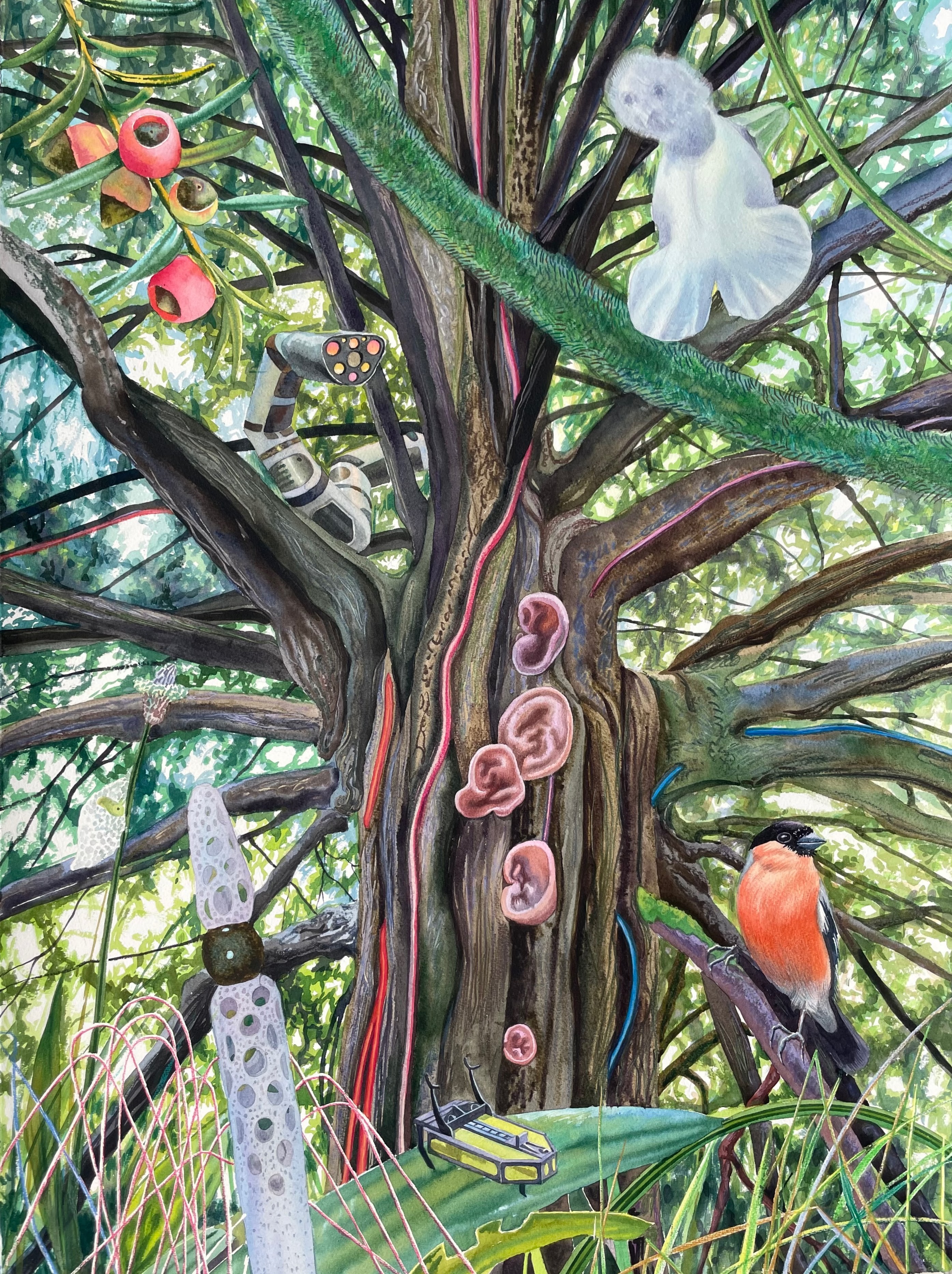 Taisia Korotkova, Imagined destinations, L’if de Saint Pierre Taisia Korotkova, Imagined destinations, L’if de Saint Pierre