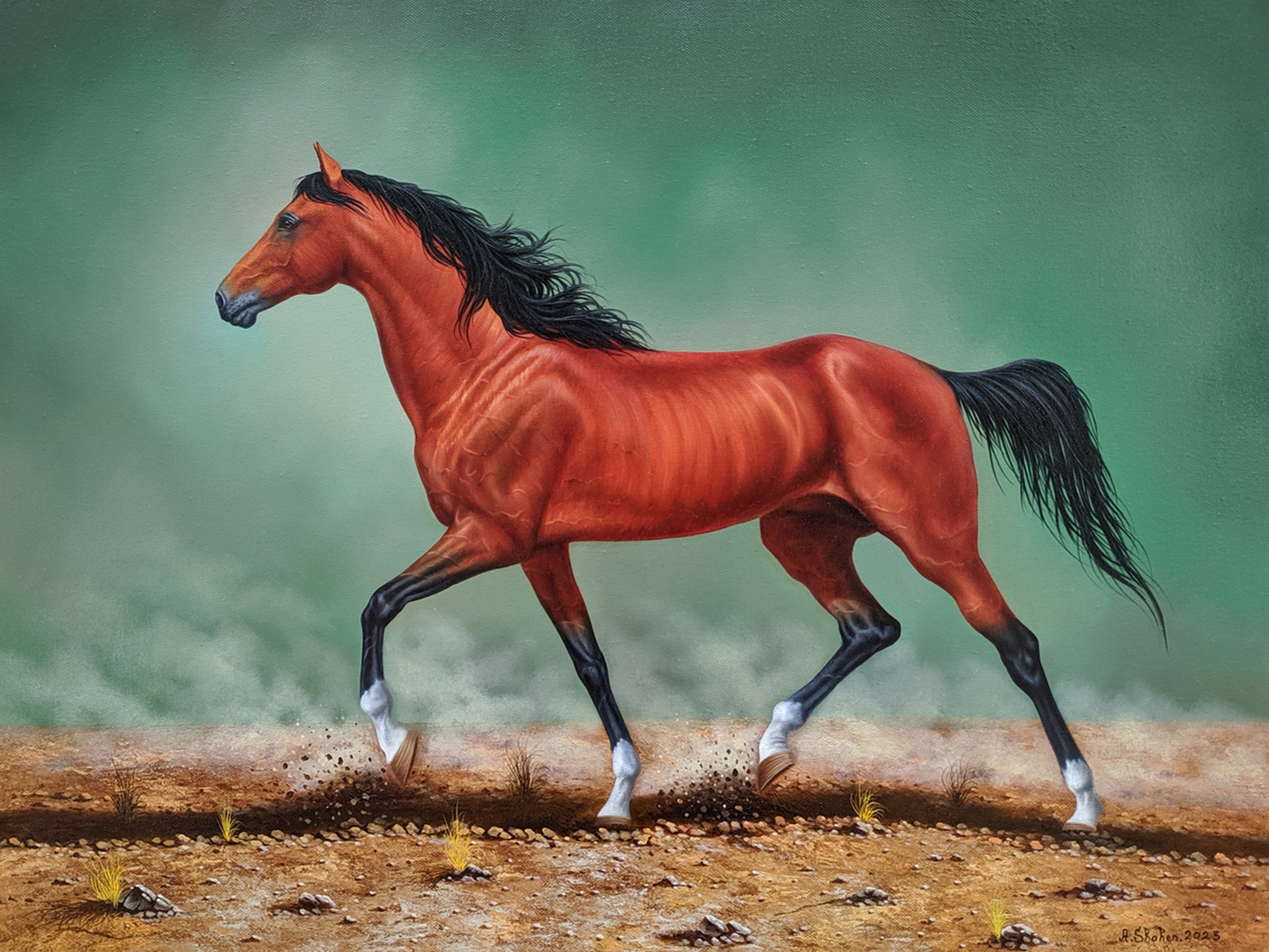 Shahen Aleksandryan, Arabian horse Shahen Aleksandryan, Arabian horse
