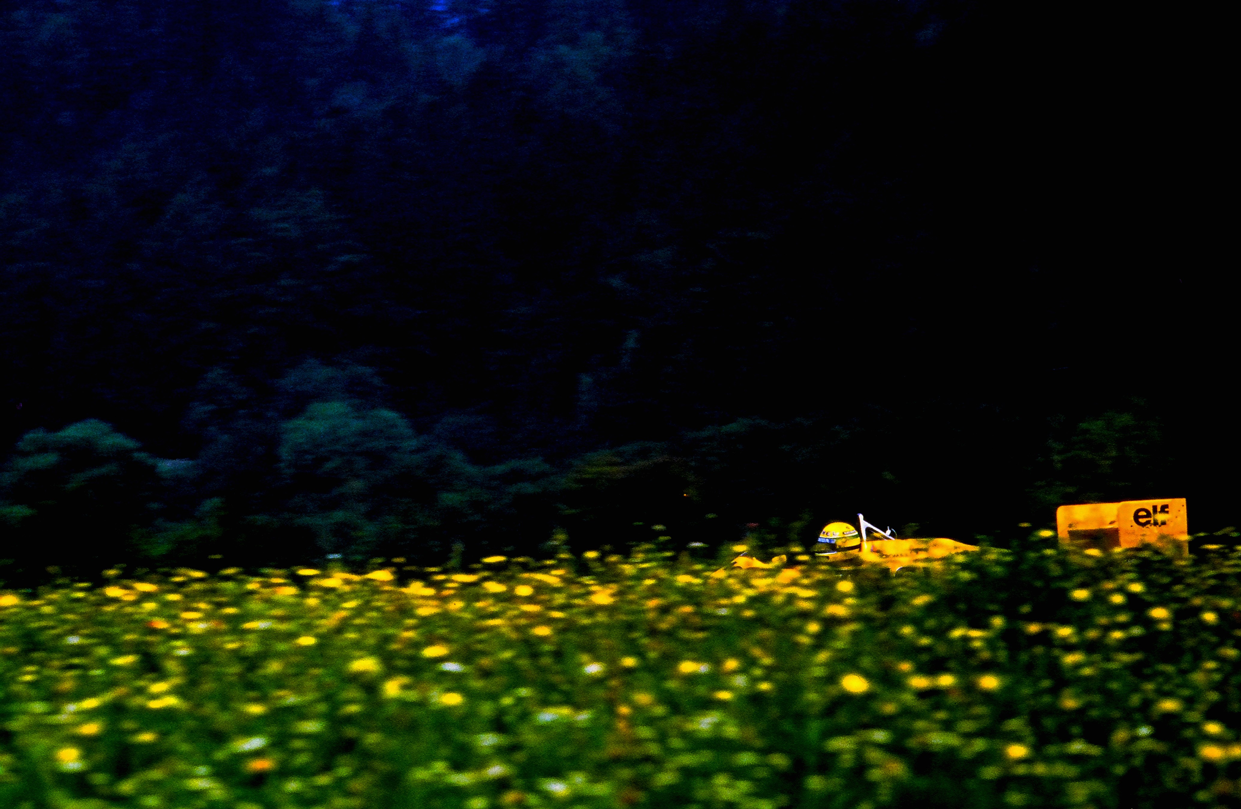 Dominique Leroy, Ayrton Senna aux pâquerettes. F1 Dominique Leroy, Ayrton Senna aux pâquerettes. F1